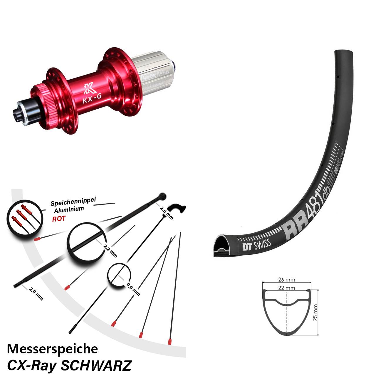 Centerlock Hinterrad QR 28 Zoll DT Swiss RR 481 KX-G rot 8-12 fach HG CX-Ray