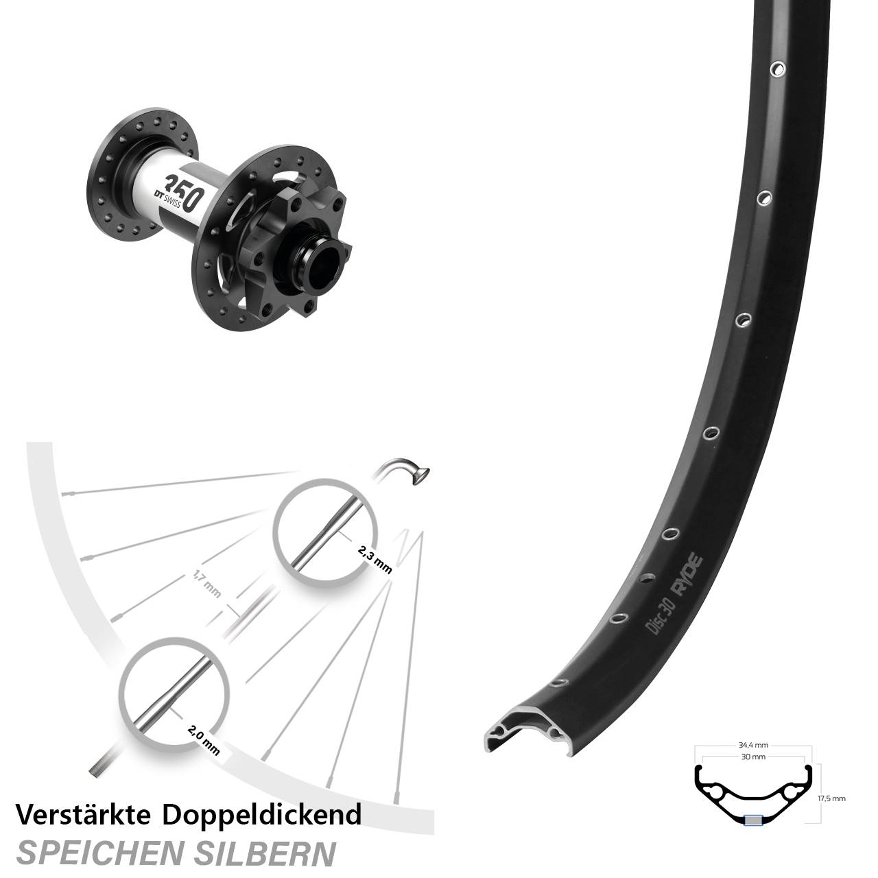 Vorderrad 6-Loch 29 Zoll Ryde Disc 30 DT Swiss 350 15x100