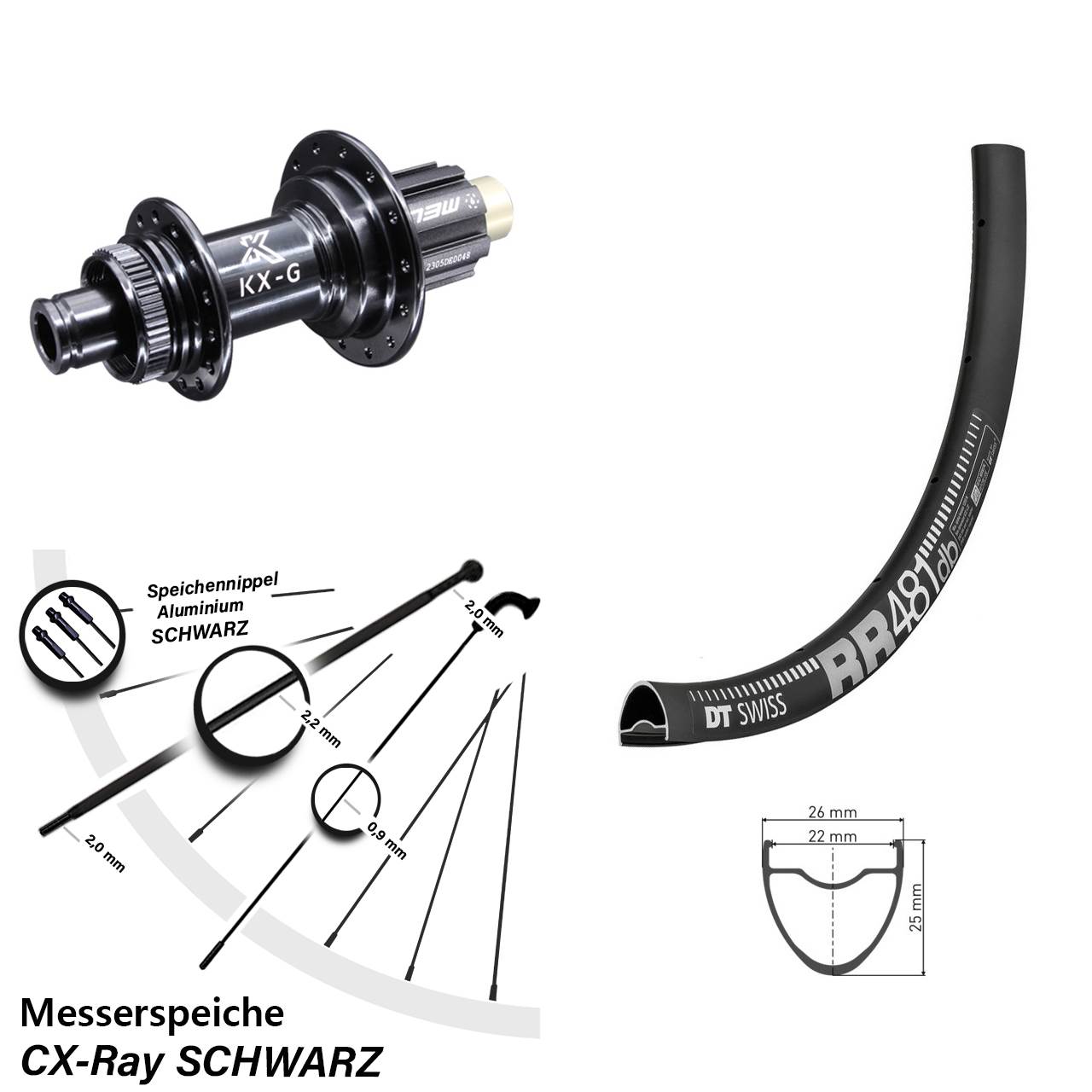 28 Zoll DT Swiss RR 481 KX-G Steckachse Disc Laufrad 12x142 Campagnolo N3W CX-Ray