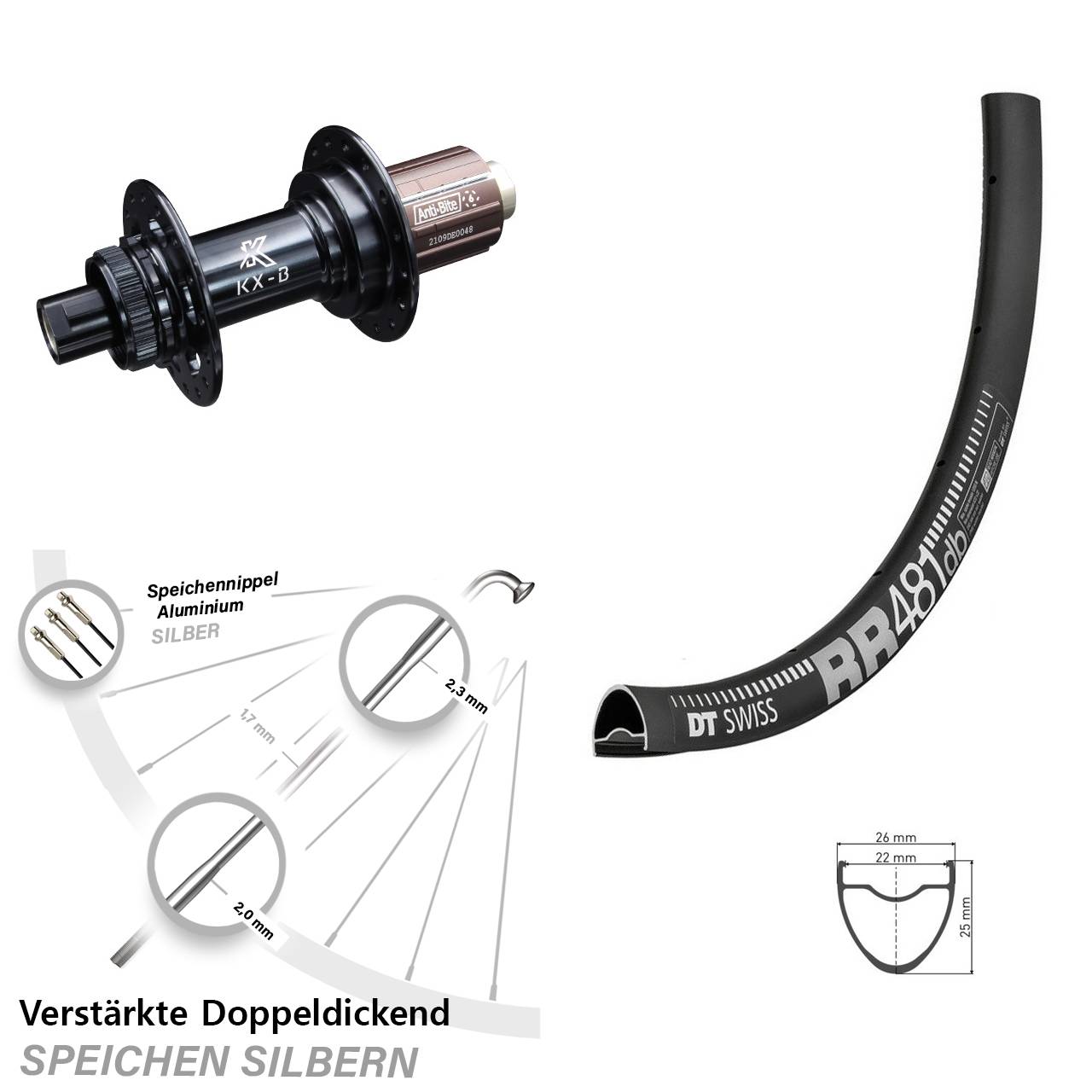 28 Zoll Hinterrad verstärkt DT Swiss RR 481 KX-B Boost 12x148 mm HG Road 11-12 fach