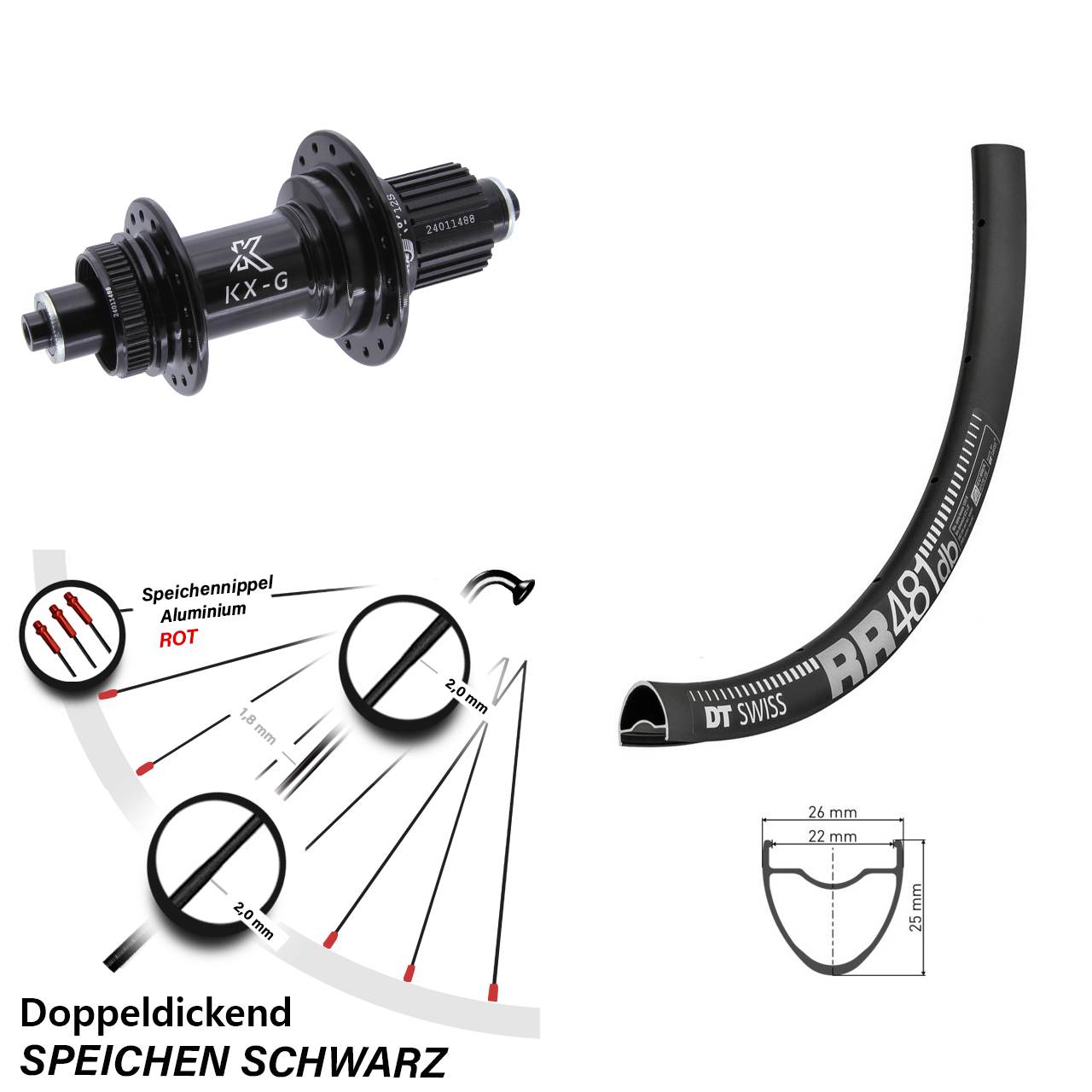 DT Swiss RR481 KX-G 28 Zoll Disc Laufrad QR Shimano Micro Spline