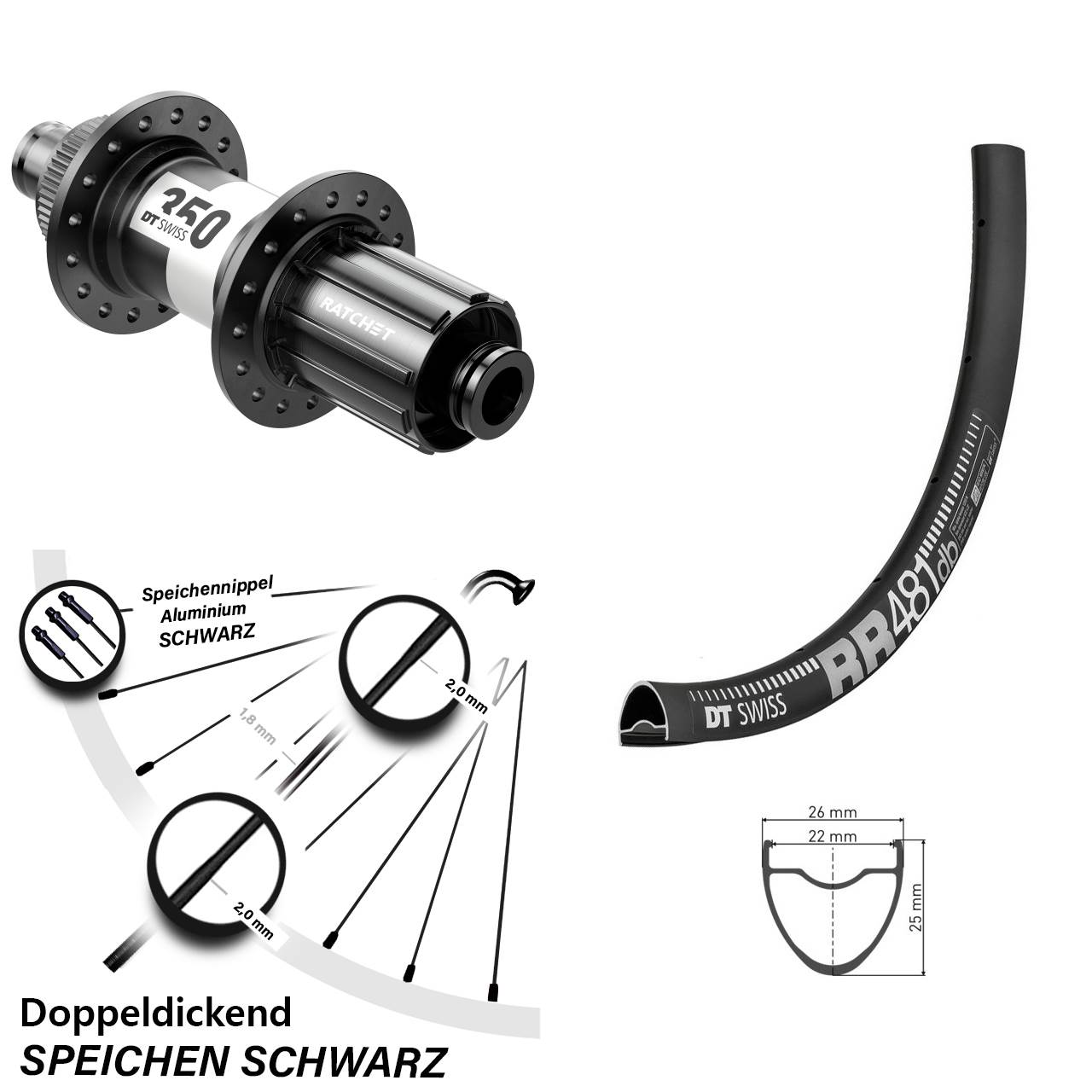 schwarzes 28 Zoll Hinterrad RR 481 DT Swiss 350 Centerlock 12x142 mm