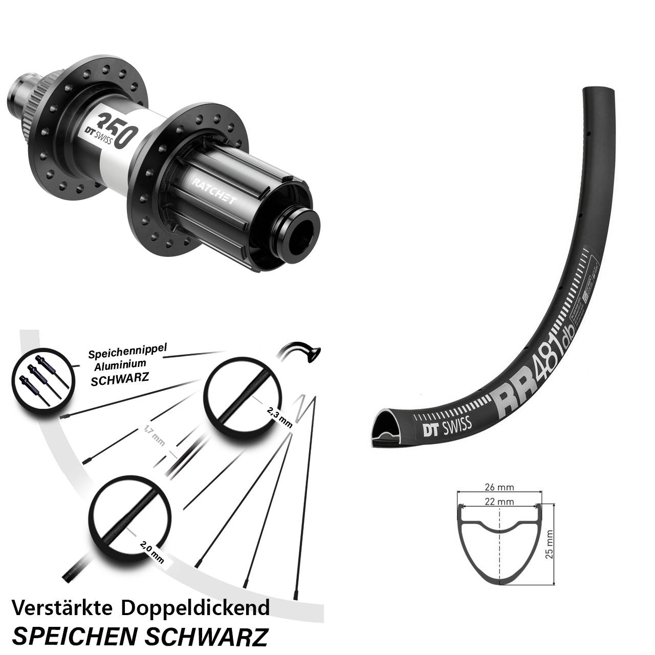 DT Swiss RR 481-350 28 Zoll Disc Laufrad 12x142 11-12 fach