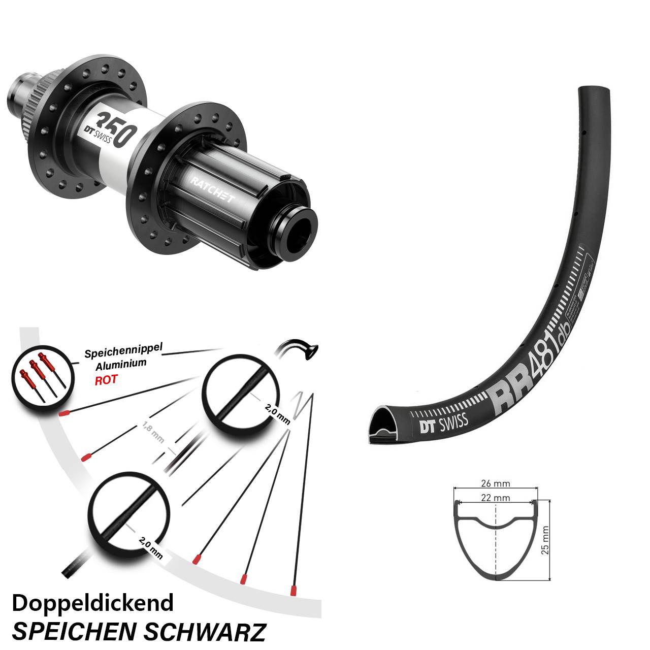 schwarzes 28 Zoll Hinterrad RR 481 DT Swiss 350 Centerlock 12x142 mm