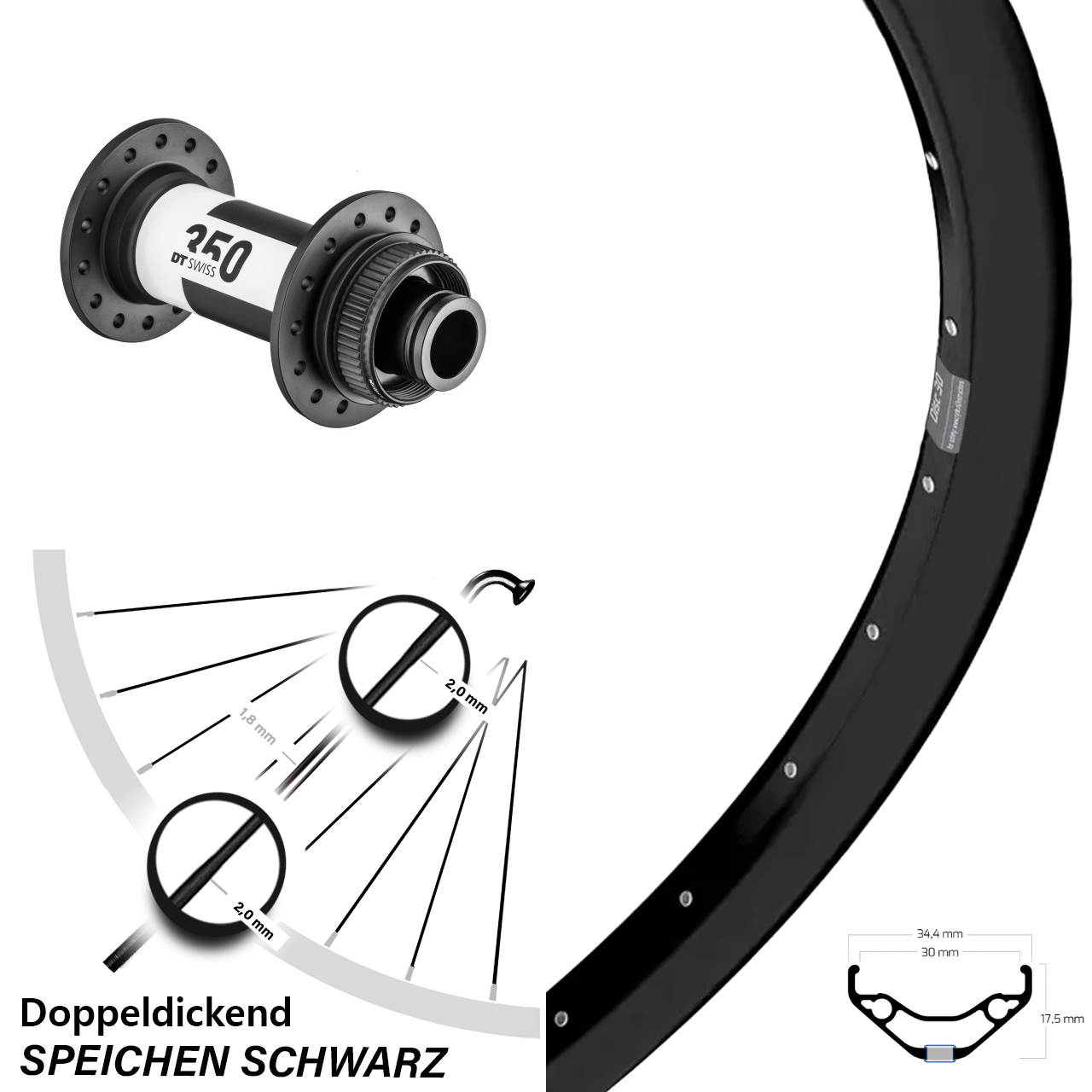 Ryde Disc 30 DT Swiss 350 29 Zoll Vorderrad 15x110 Boost