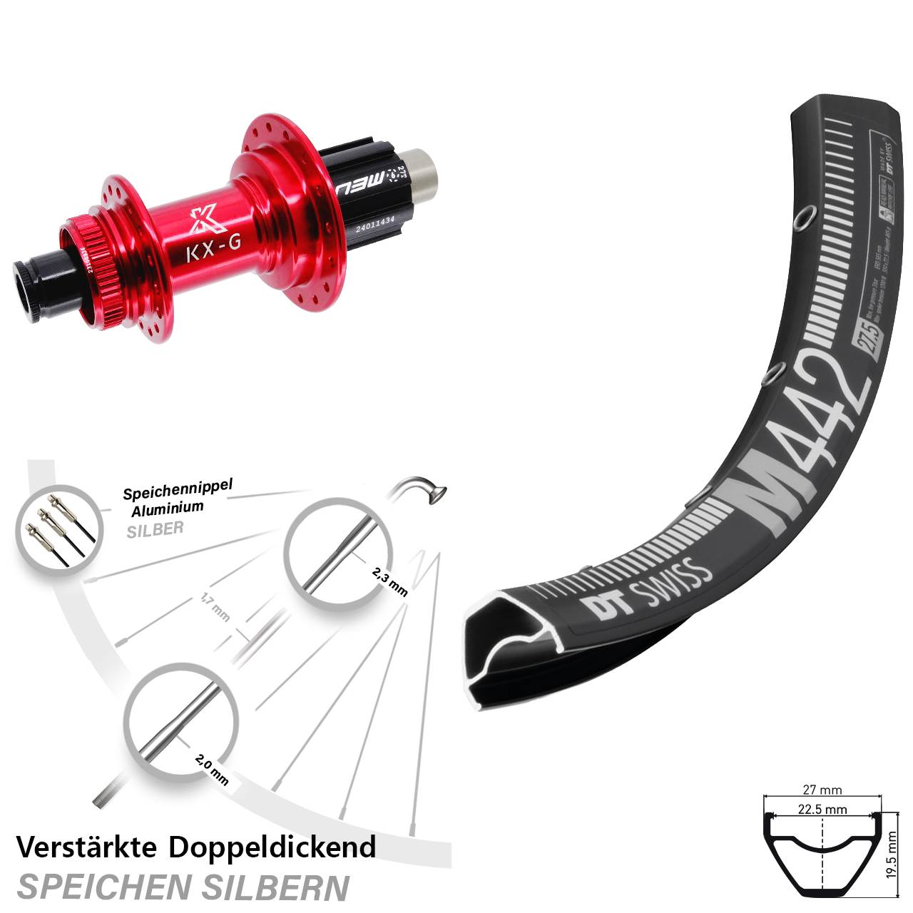 DT Swiss M442 KX-G rot 28-29 Zoll Disc Hinterrad 12x142 Campa N3W