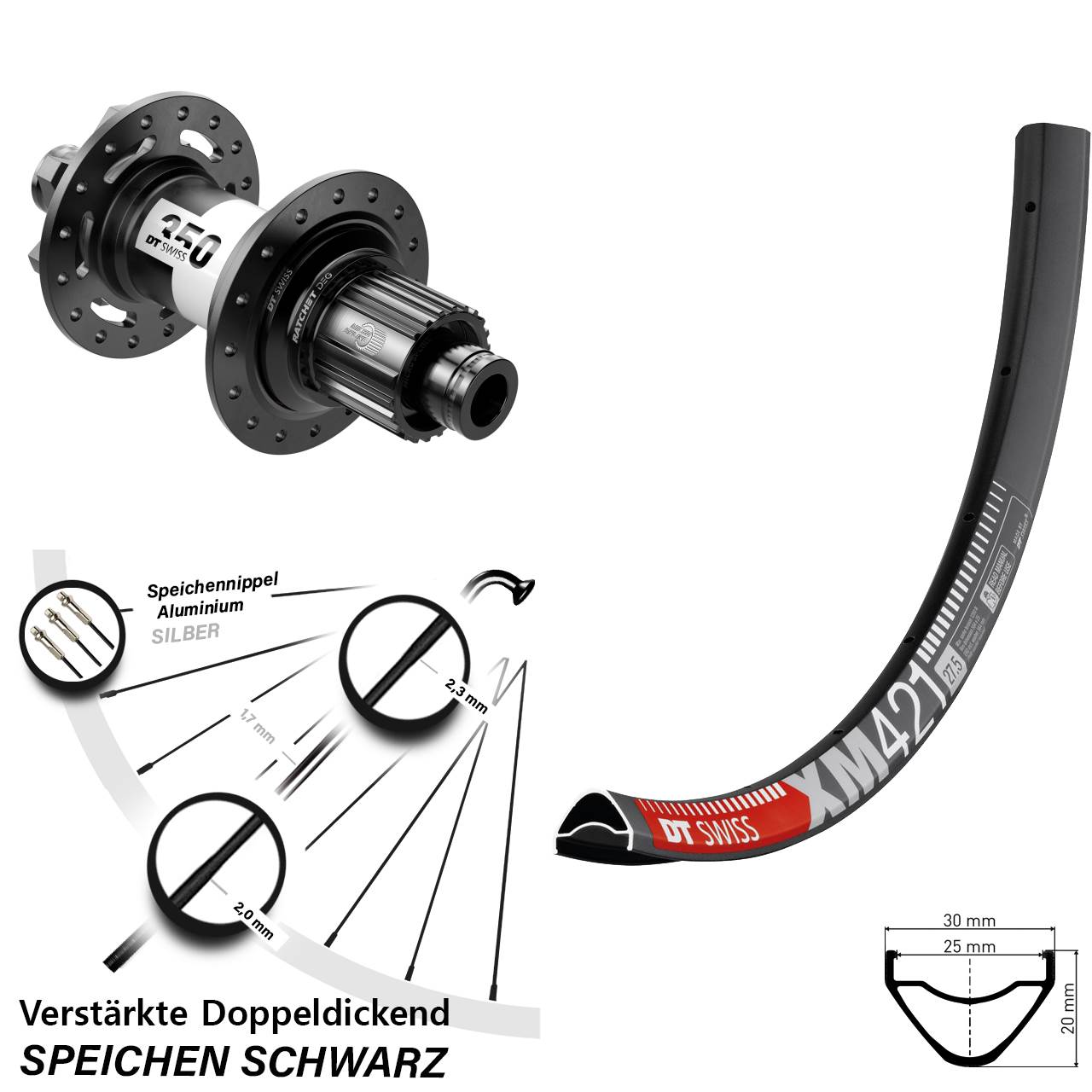 29 Zoll DT Swiss XM421-350 DEG72 6-Loch Hinterrad 12x148 Micro Spline