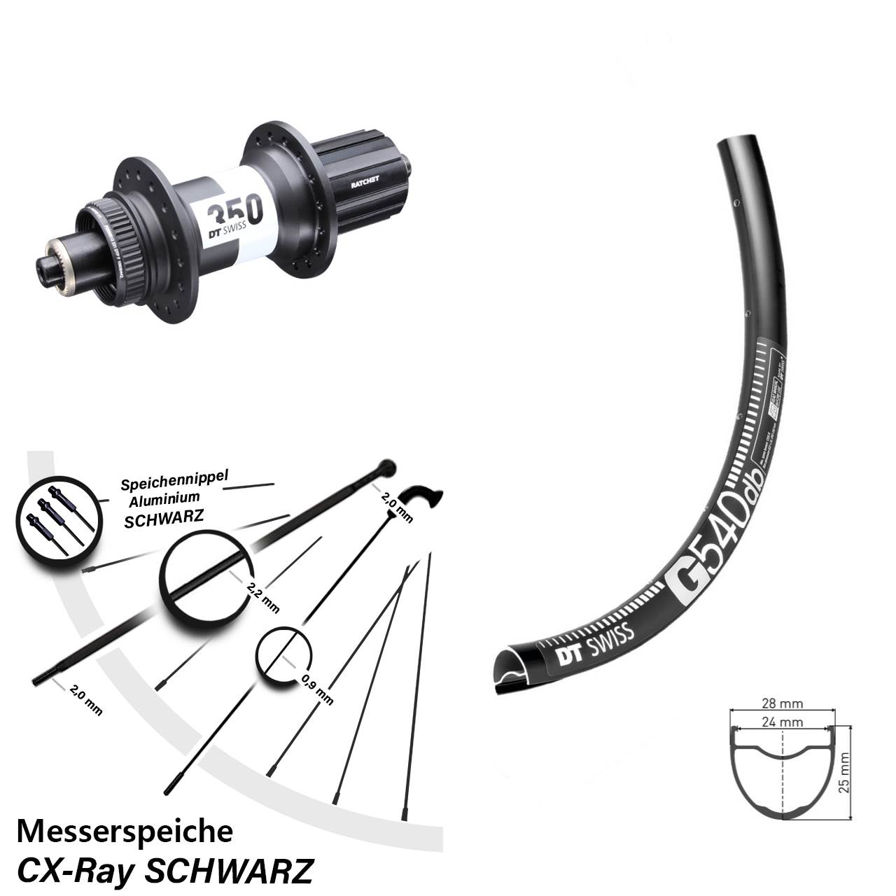 DT Swiss G540-350 Road 29 Zoll Disc Hinterrad für Schnellspanner CX-Ray 11-12 fach