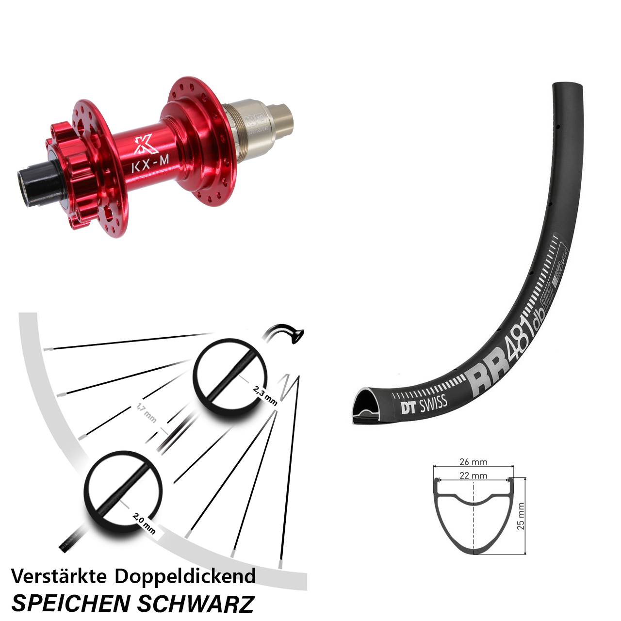 6-Loch Hinterrad 28 Zoll DT Swiss RR481 KX-M rot XD 11-12 fach 12x142