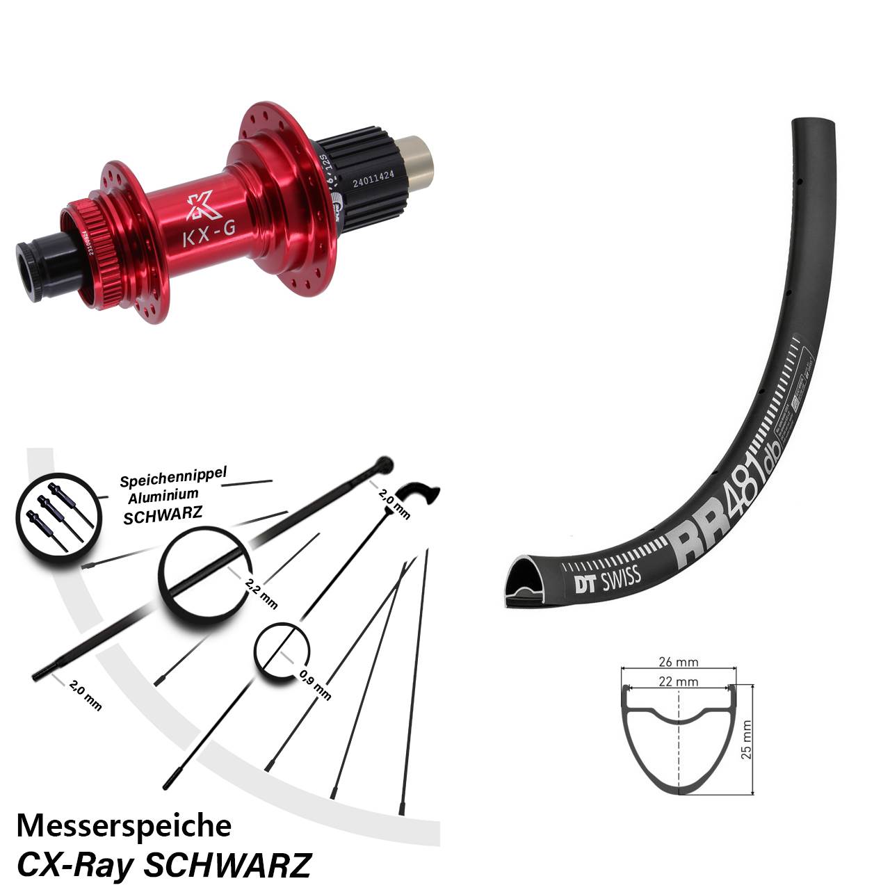 28 Zoll DT Swiss RR 481 KX-G rot Hinterrad Centerlock 12x142 Micro Spline CX-Ray