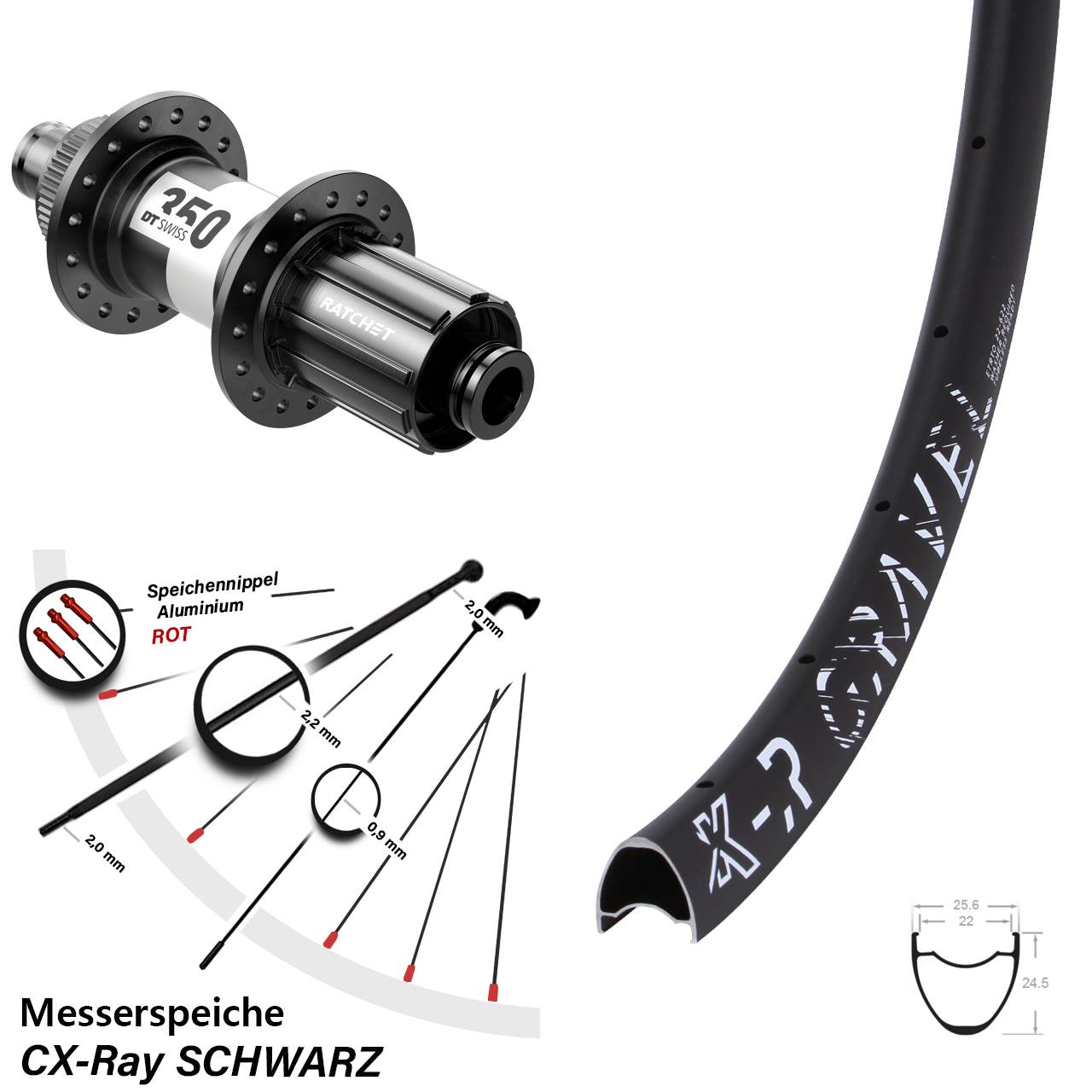 KX-R Gravel DT Swiss 350 Road 28-29 Zoll Disc Hinterrad 12x142 CX-Ray 11-12 fach