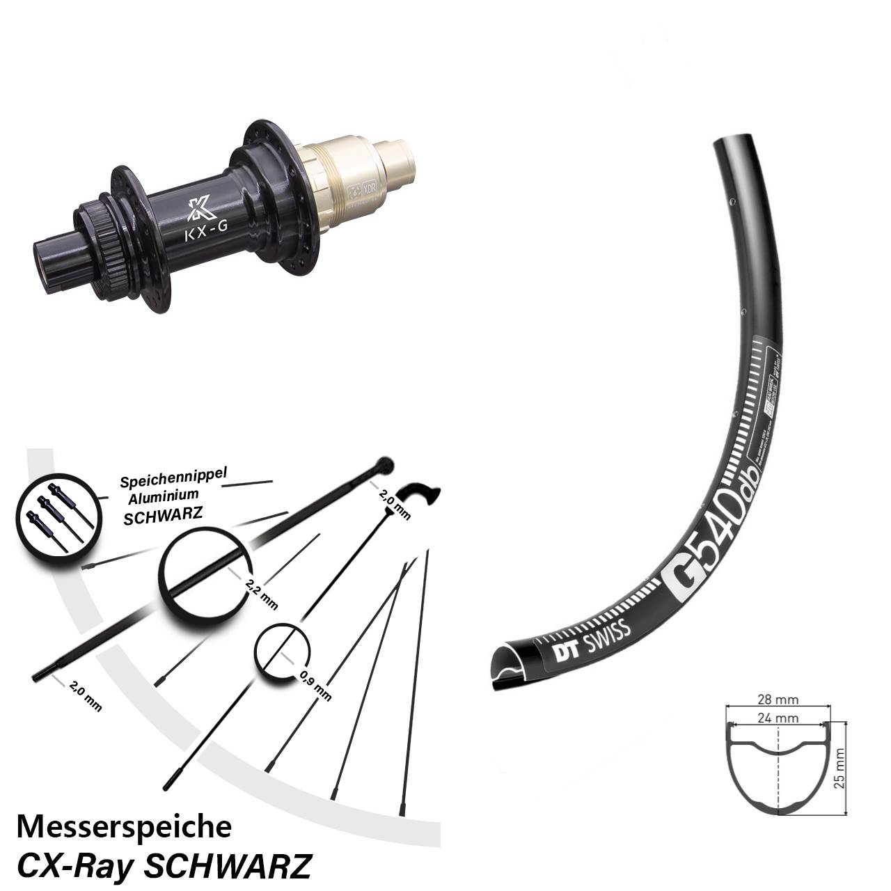 Hinterrad Centerlock 29 Zoll DT Swiss G 540 KX-G XDR 11-12 fach 12x142 CX-Ray