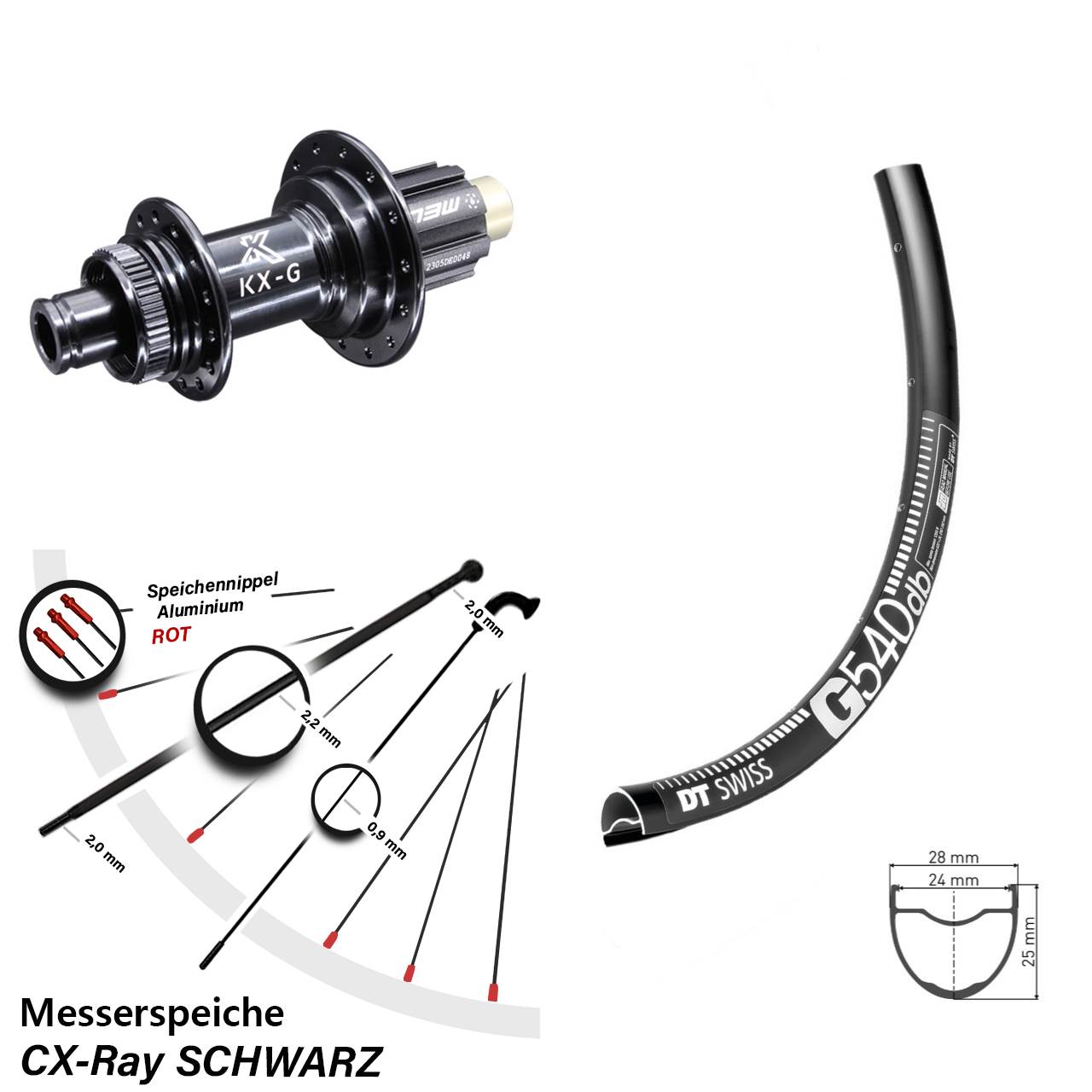 28-29 Zoll DT Swiss G540 KX-G Centerlock Hinterrad 12x142 Campa N3W CX-Ray