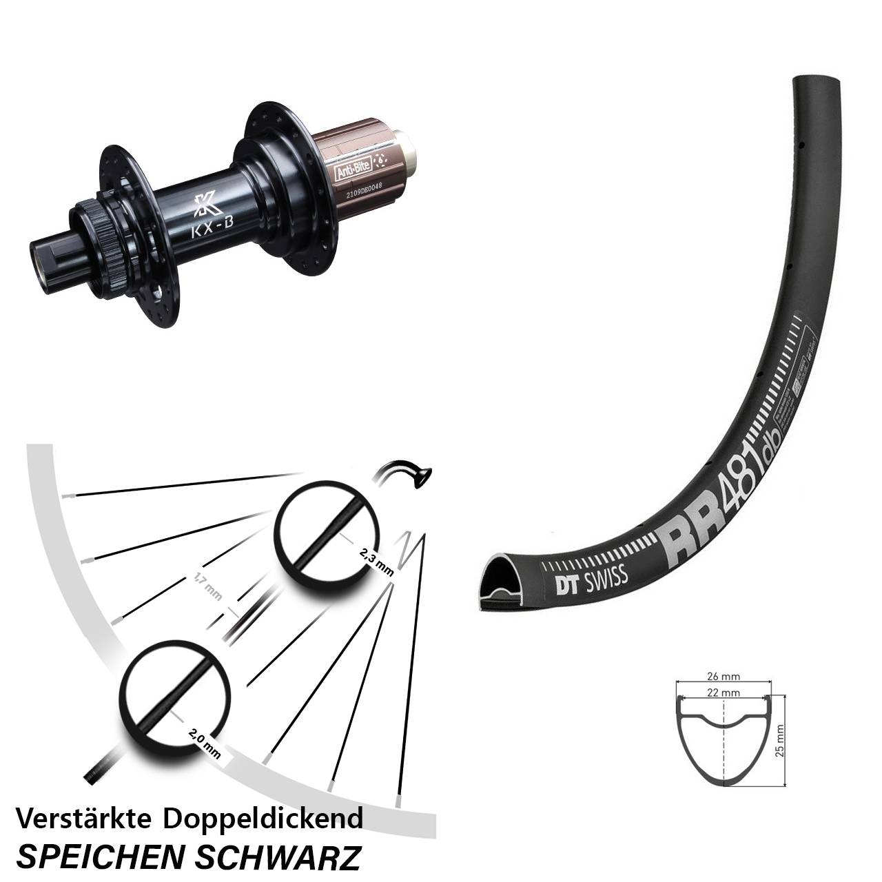 28 Zoll Hinterrad verstärkt DT Swiss RR 481 KX-B Boost 12x148 mm HG Road 11-12 fach