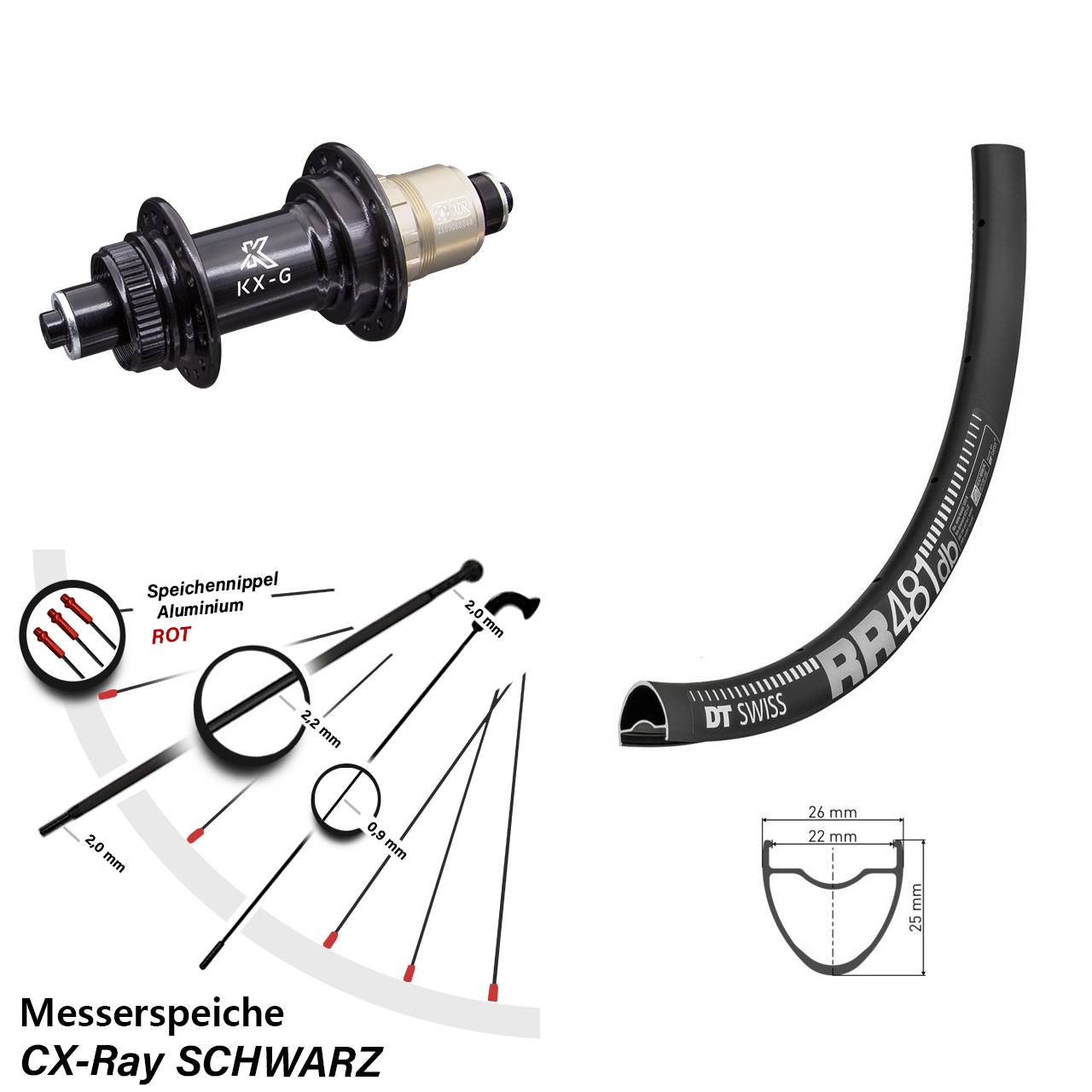 Disc Hinterrad 28 Zoll DT Swiss RR 481 KX-G XDR 11-12 fachQR CX-Ray