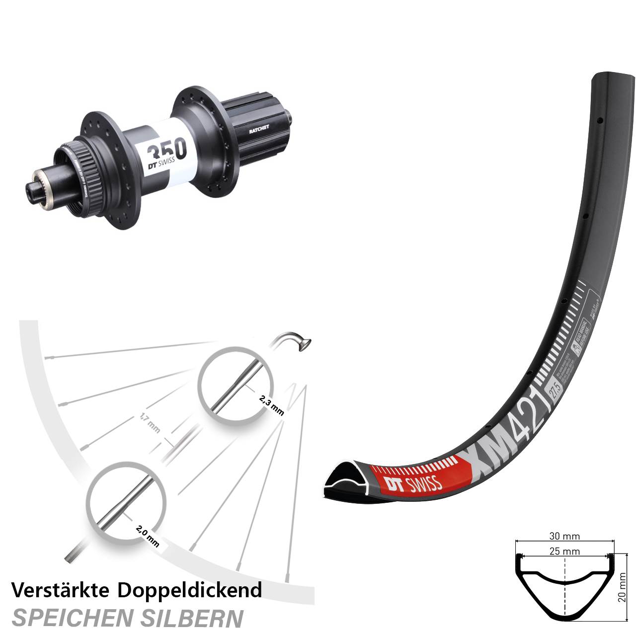 Disc 29 Zoll Laufrad QR DT Swiss XM 421-350 Ratchet 36 8-11 fach HG