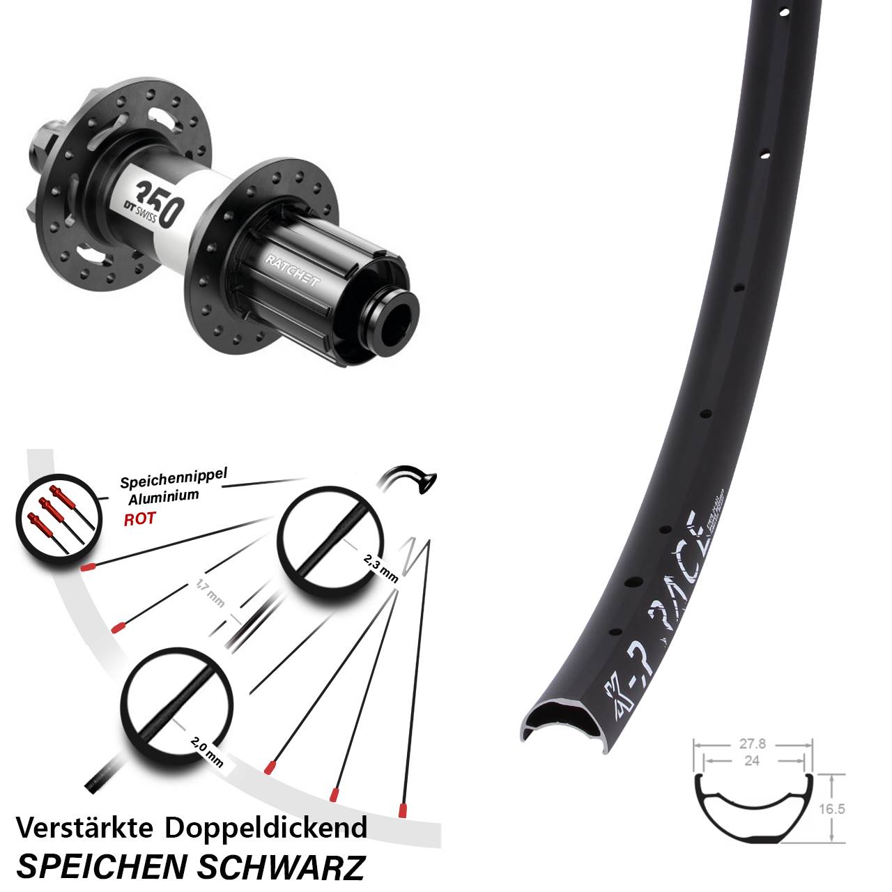 6-Loch Hinterrad KX-R Race DT Swiss 350 8-11 fach HG 12x148 Boost