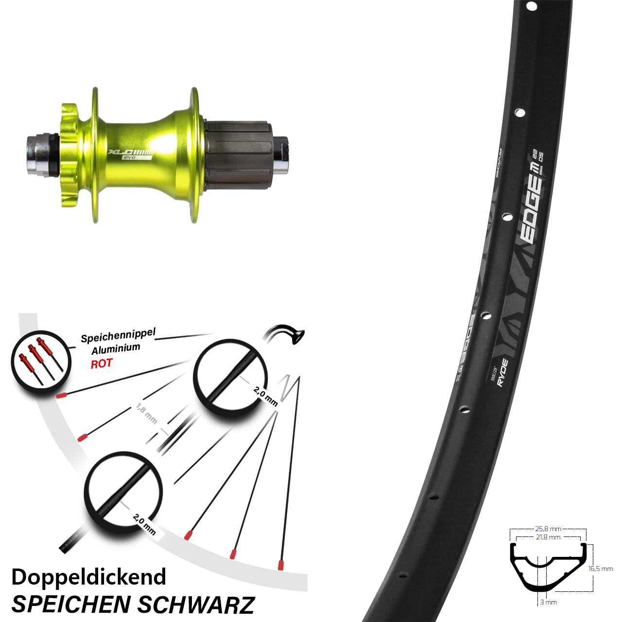 29 Zoll Hinterrad Ryde Edge M22 OS mit XLC Evo Nabe grün Steckachse 8-11 fach