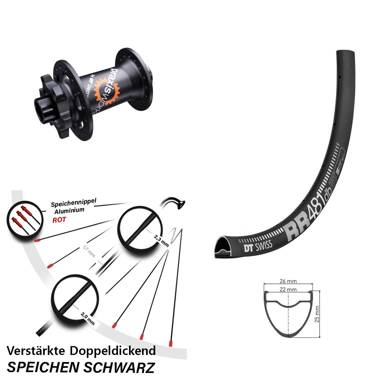 Vorderrad 6-Loch 12x100 28 Zoll DT Swiss RR481-350