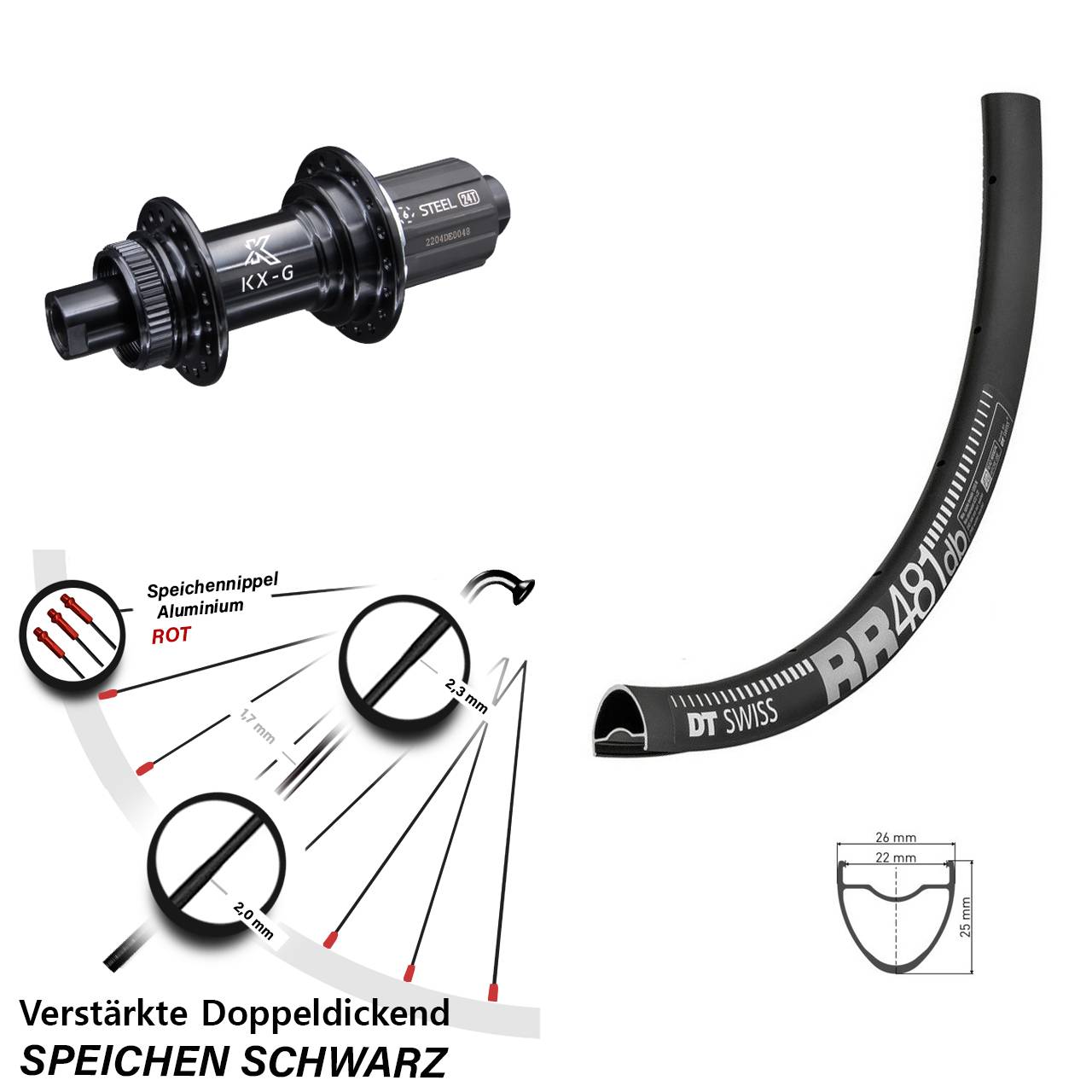 28 Zoll Hinterrad Road Disc KX-GS 12x142 Centerlock DT Swiss RR 481 DB Shimano 8-12 fach
