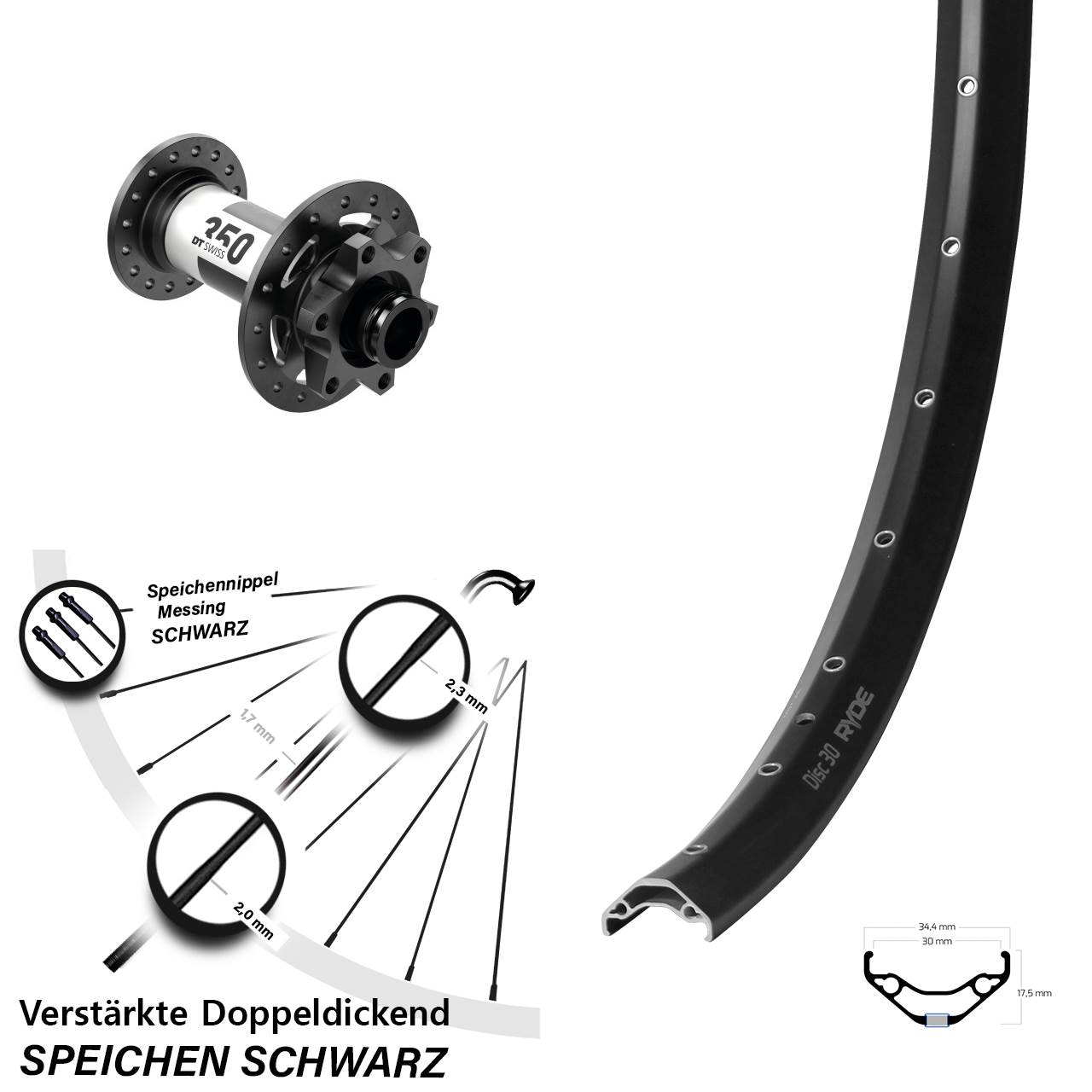 Vorderrad 6-Loch 29 Zoll Ryde Disc 30 DT Swiss 350 15x100
