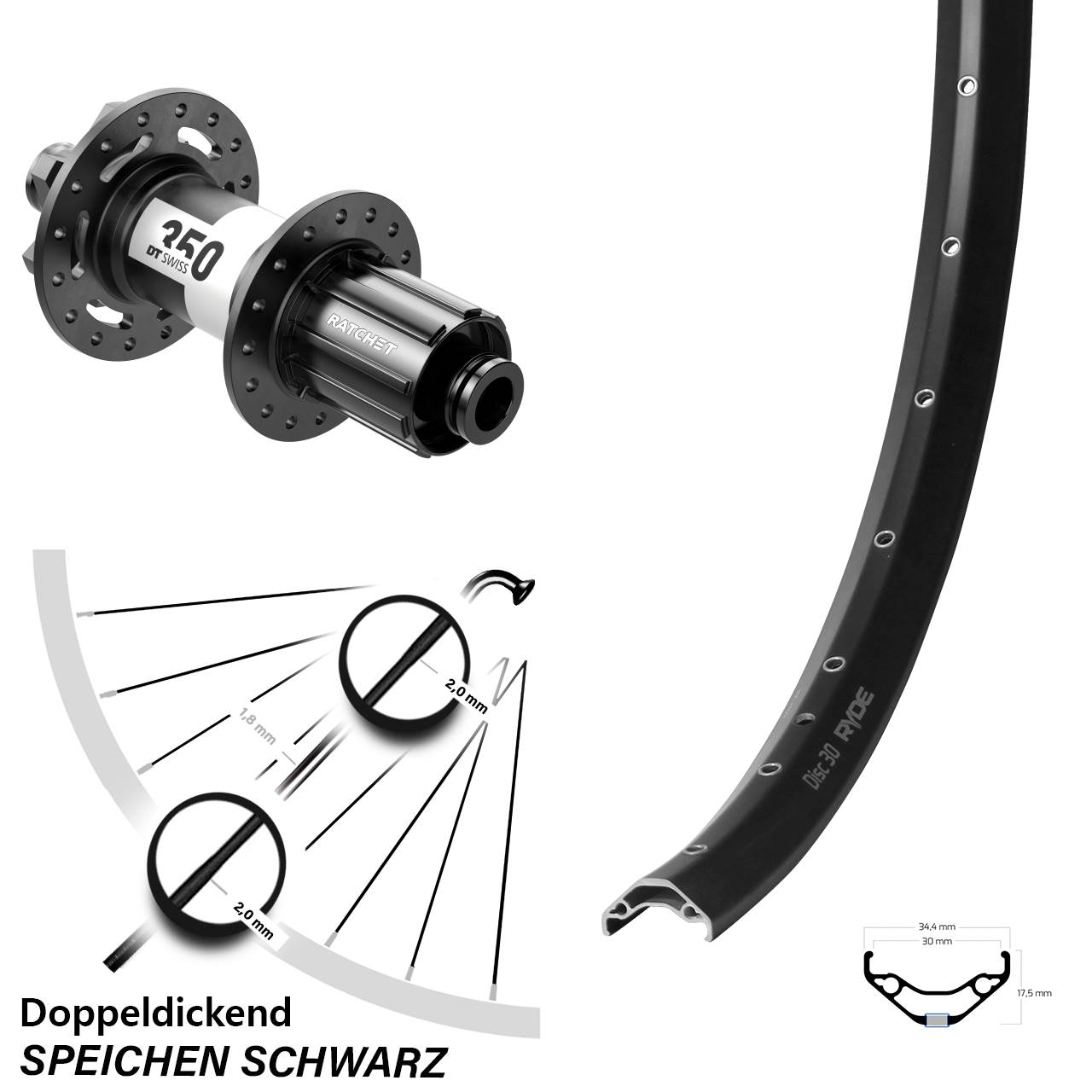29 Zoll Ryde Disc 30 DT Swiss 350 6-Loch Hinterrad 12x157 8-11 fach