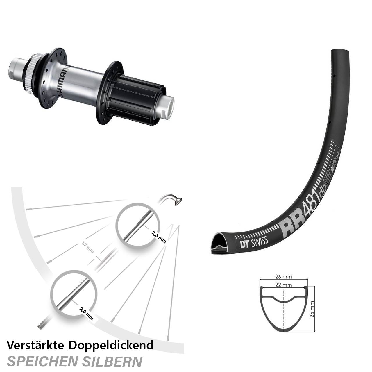 Hinterrad Centerlock 28 Zoll DT Swiss RR481 Shimano GRX 8-12 fach HG 12x142