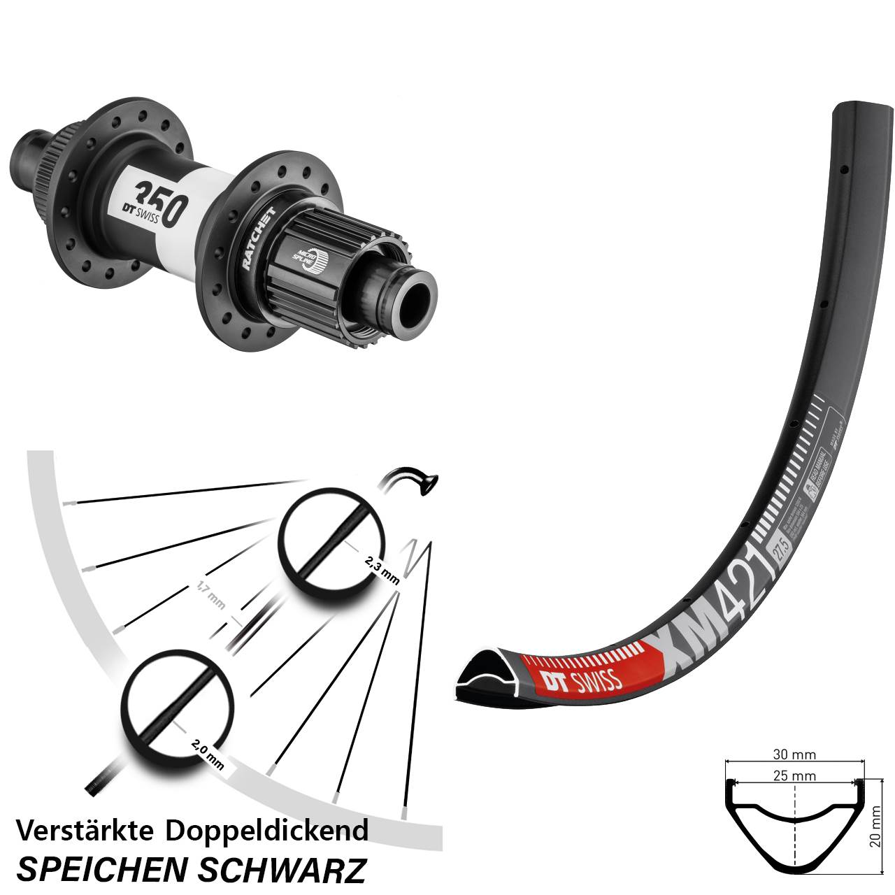 29 Zoll Laufrad 12x142 DT Swiss XM421-350 Ratchet 36 Shimano Micro Spline