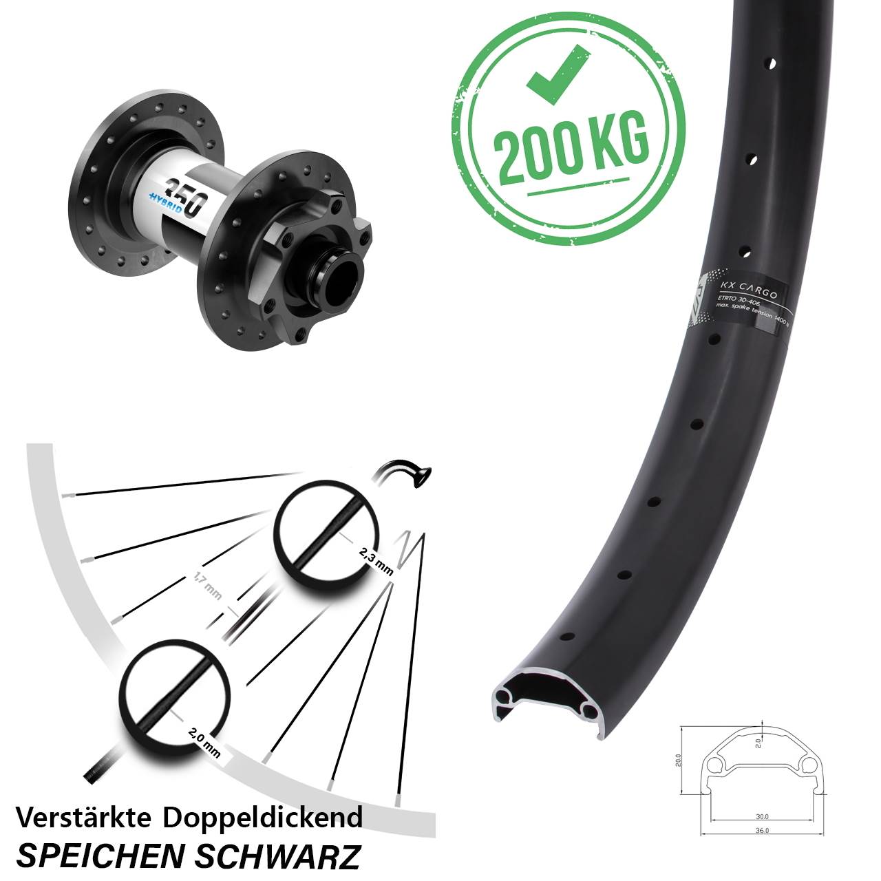 20 Zoll KX Cargo DT Swiss Hybrid 350 Vorderrad 6-Loch 15x100