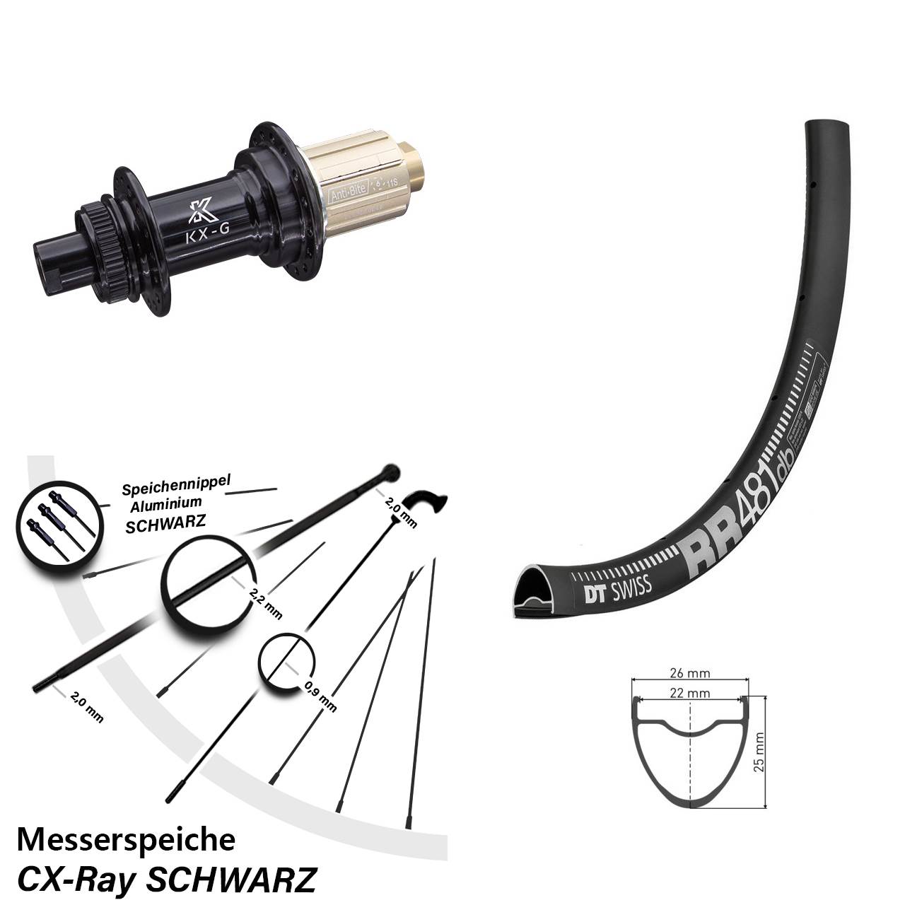 Hinterrad 28 Zoll DT Swiss RR 481 Road KX-G 12x142 mm CX Ray Messerspeiche 8-12 fach
