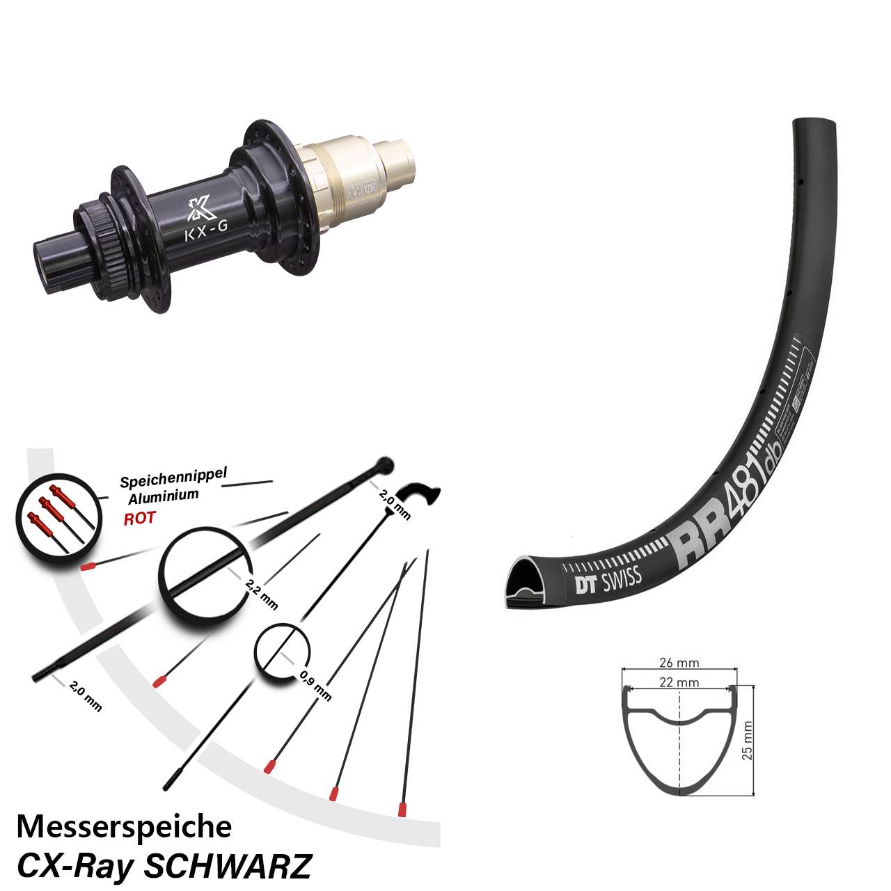 Hinterrad 28 Zoll DT Swiss RR 481 Road KX-G Centerlock Sram XDR CX Ray Messerspeiche