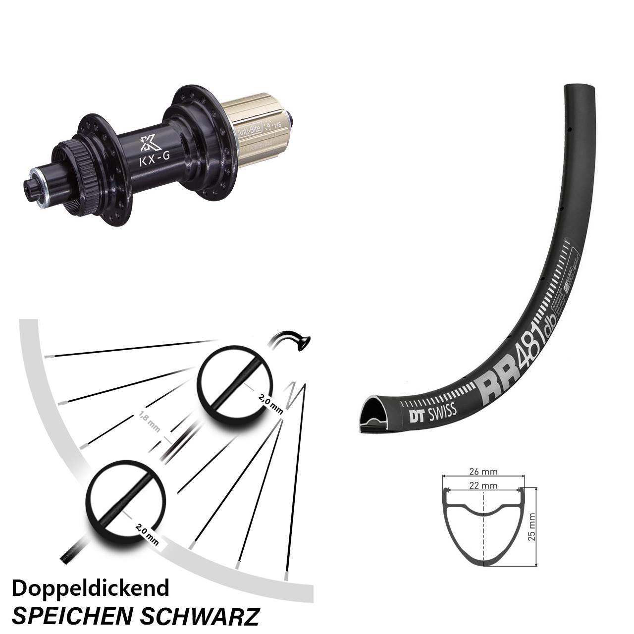 28 Zoll Hinterrad DT Swiss RR 481 DB mit Nabe KX-G 8-12 fach