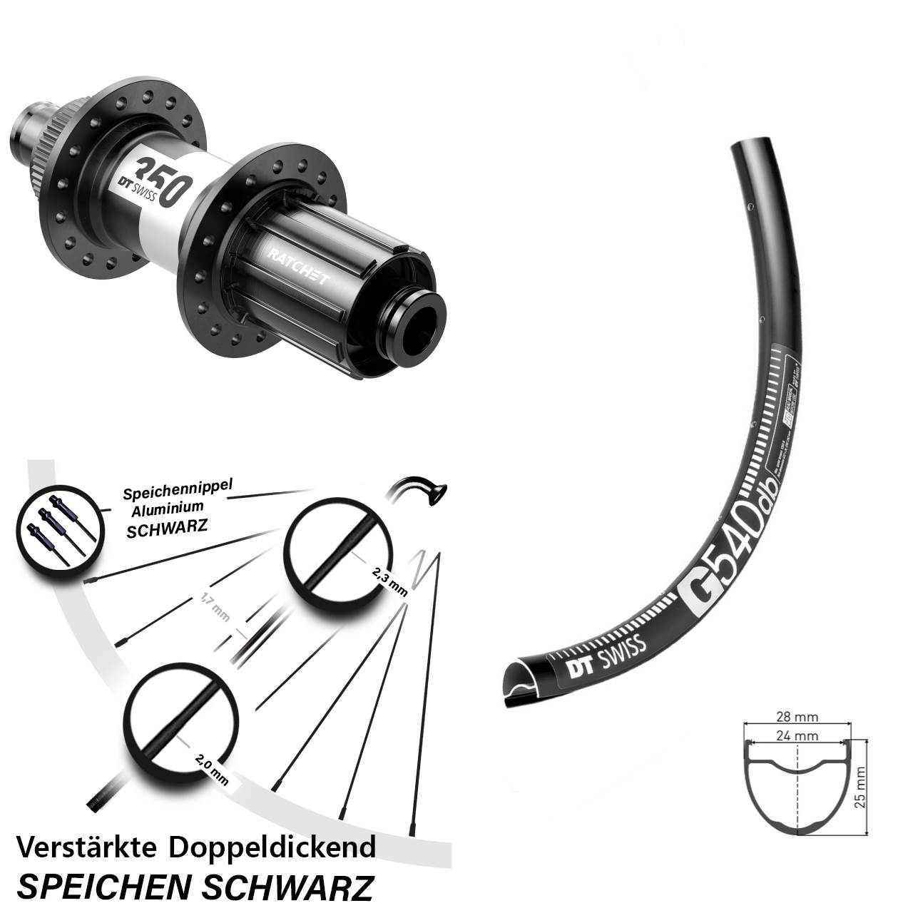 Hinterrad Centerlock 12x142 28-29 Zoll DT Swiss G 540-350 Road 11-12 fach HG