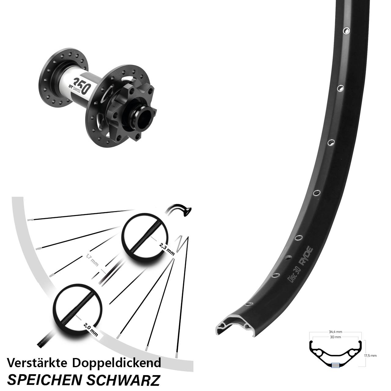 Vorderrad 6-Loch 29 Zoll Ryde Disc 30 DT Swiss 350 15x100