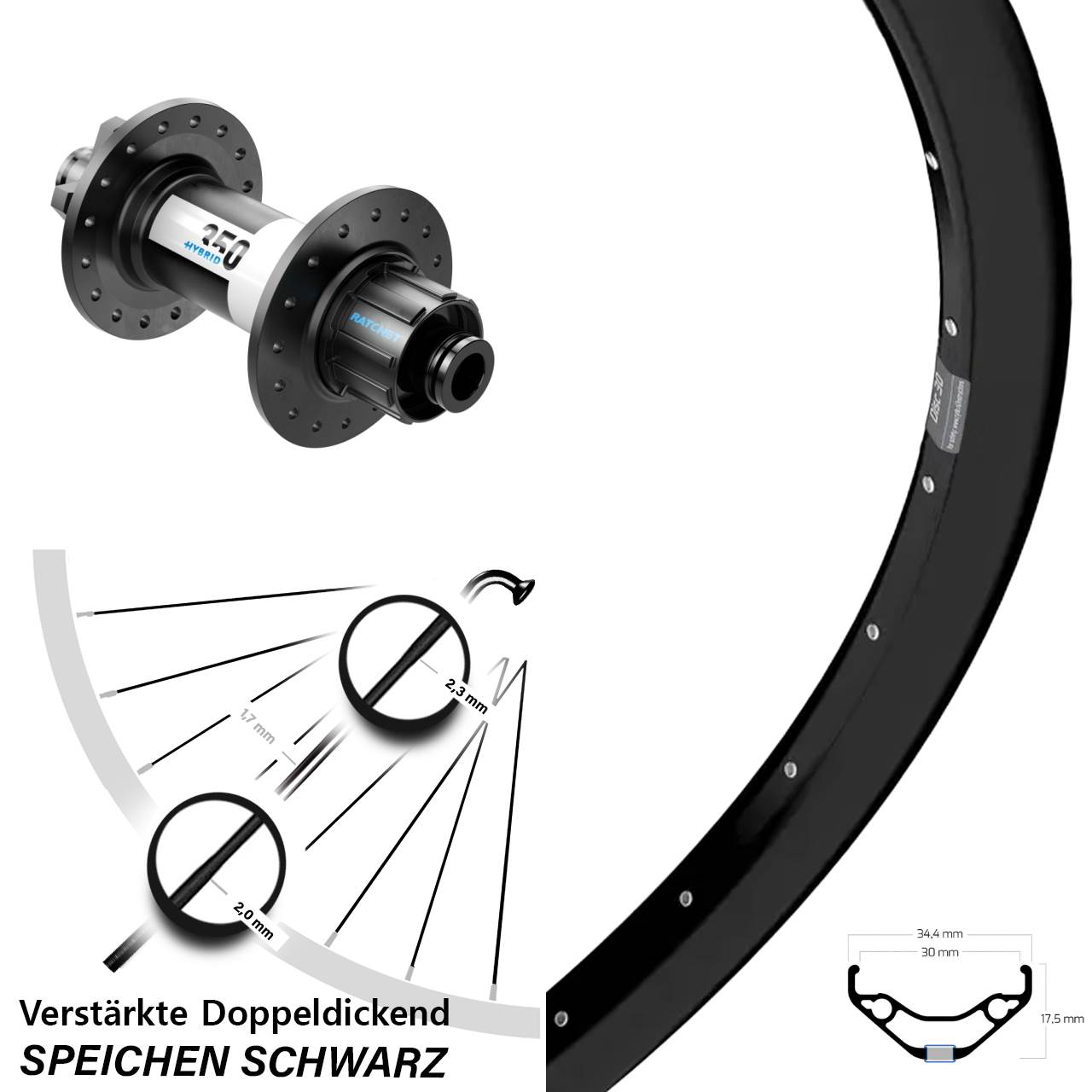 Ryde Disc 30 6-Loch Hinterrad DT Swiss 350 Singlespeed 12x142