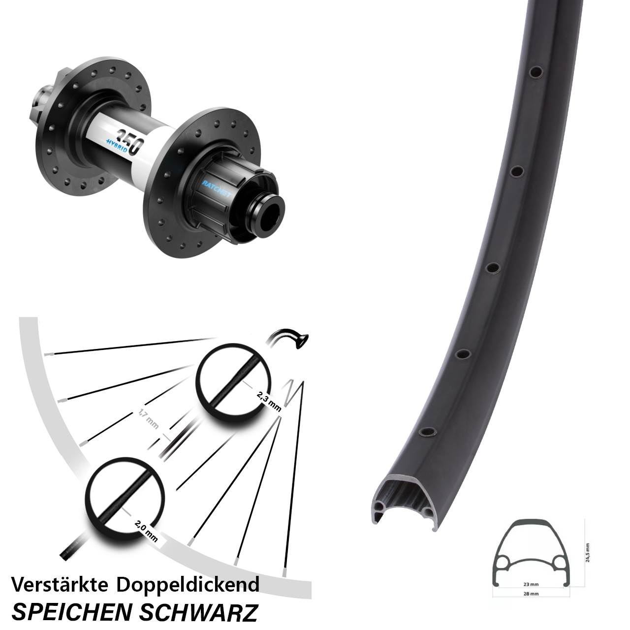 6-Loch Hinterrad 12x142 29 Zoll Ambrosio Sport DT Swiss 350 Hybrid Singlespeed