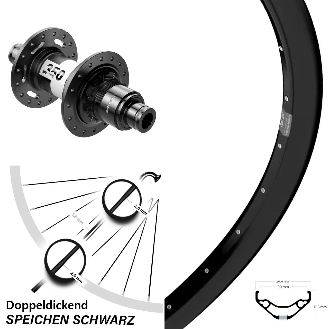 Disc Hinterrad 12x148 29 Zoll Ryde Disc 30 DT Swiss 350 DEG 72 XD