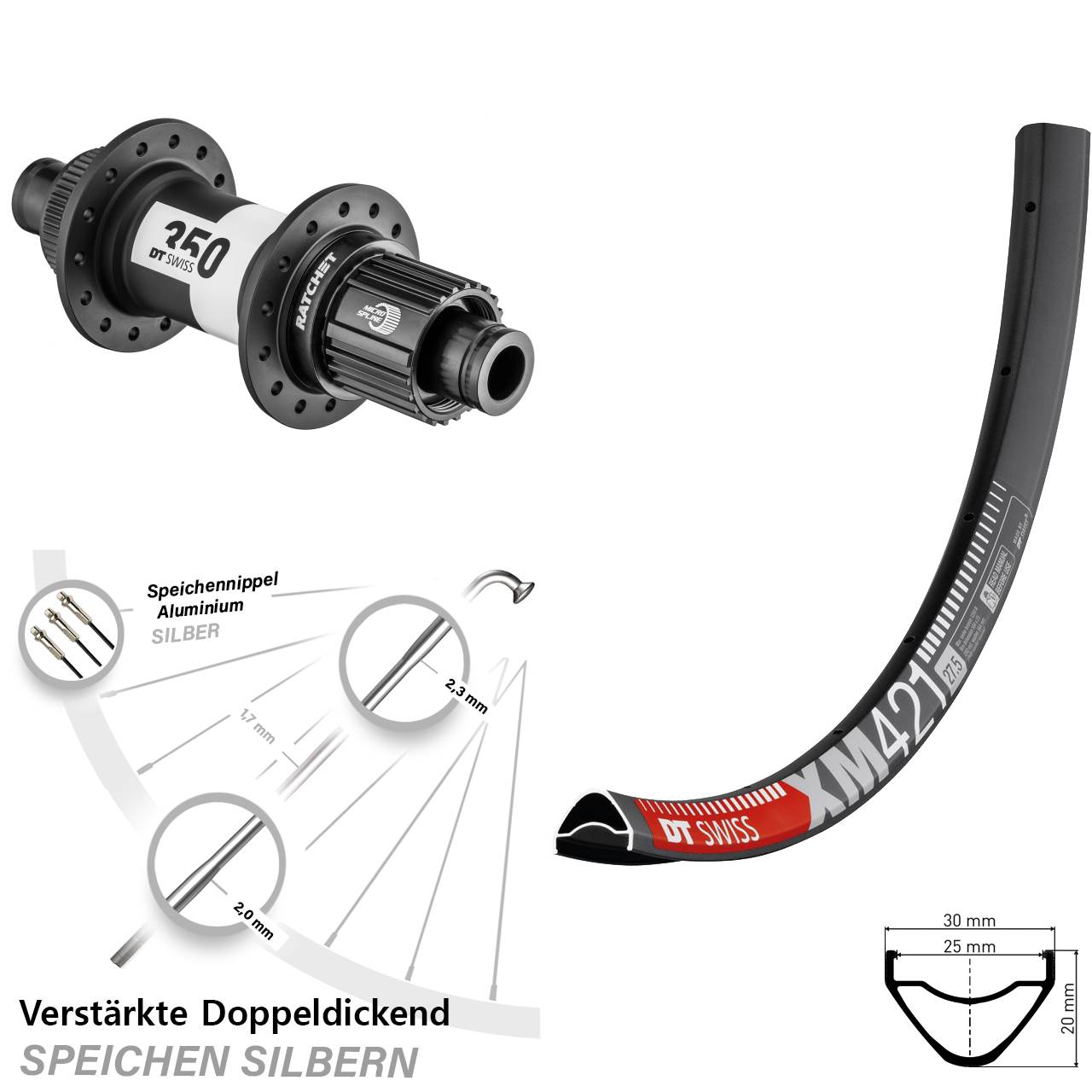 29 Zoll Laufrad 12x142 DT Swiss XM421-350 Ratchet 36 Shimano Micro Spline