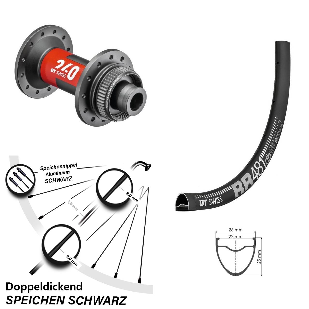 RR481 DT Swiss 240 Road 28 Zoll Disc Vorderrad 12x100