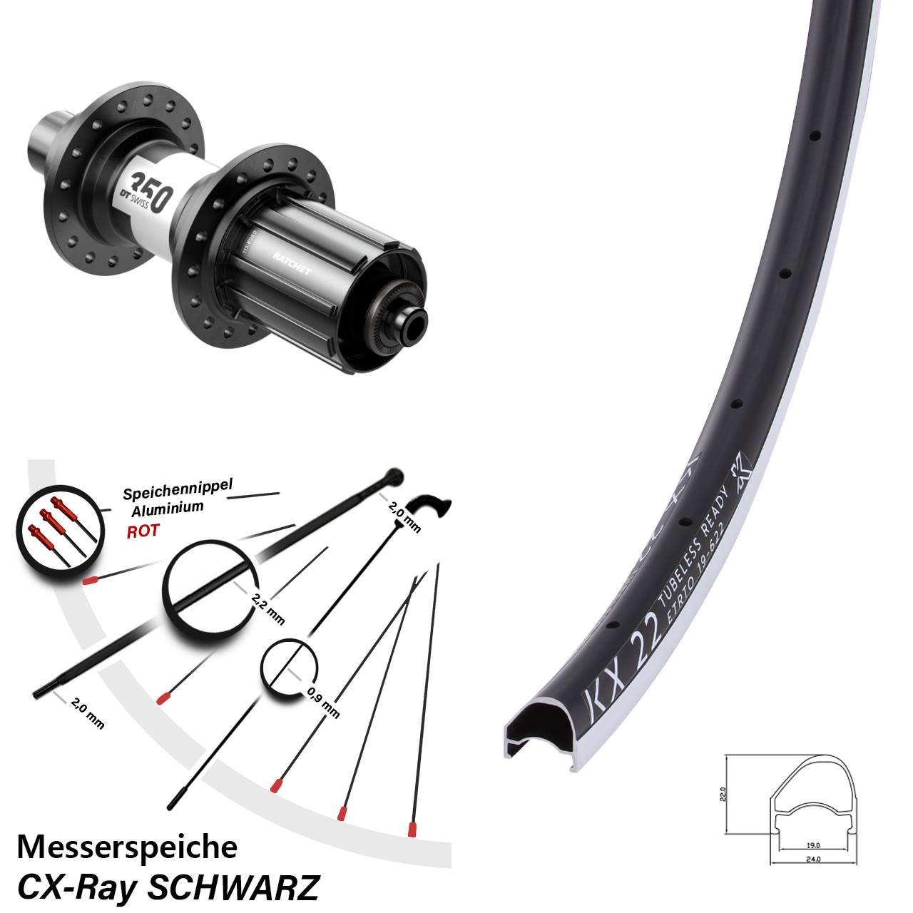 KX 22 DT Swiss 350 Rennrad 28 Zoll Hinterrad 5x130 QR CX-Ray 11-12 fach