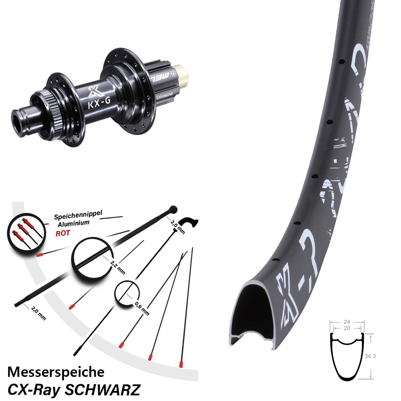 Disc Hinterrad 29 Zoll KX-R Road Messerspeiche Campa N3W 12x142 CX-Ray