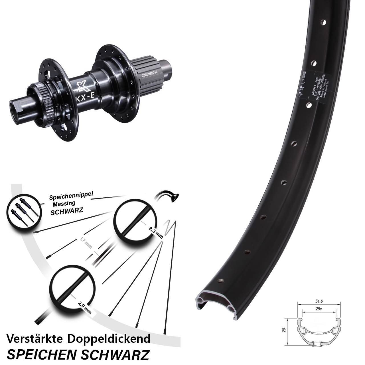 20 Zoll Mach1 Kargo KX-E Stahlfreilauf Hinterrad Centerlock 12x142 Micro Spline