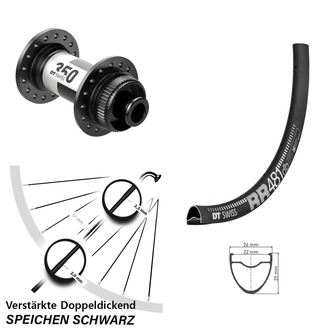 DT Swiss RR 481-350 28 Zoll Disc Vorderrad 12x100