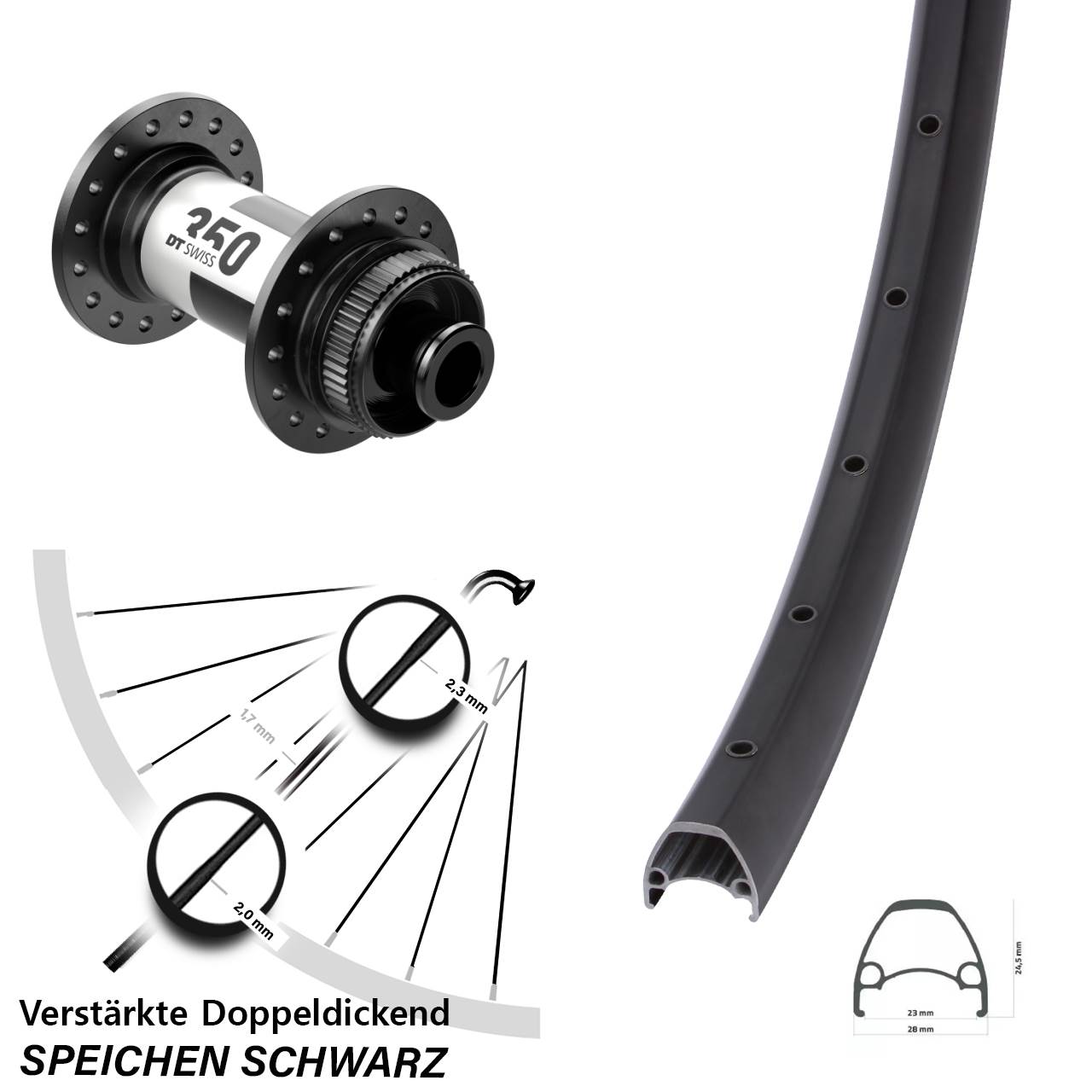 28-29 Zoll Ambrosio Sport DT Swiss 350 Vorderrad Centerlock 12x100