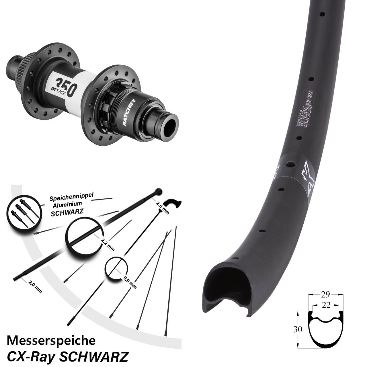 Disc Hinterrad 12x142 29 Zoll KX-RC Gravel Carbon DT Swiss 350 Ratchet 36 XDR CX-Ray