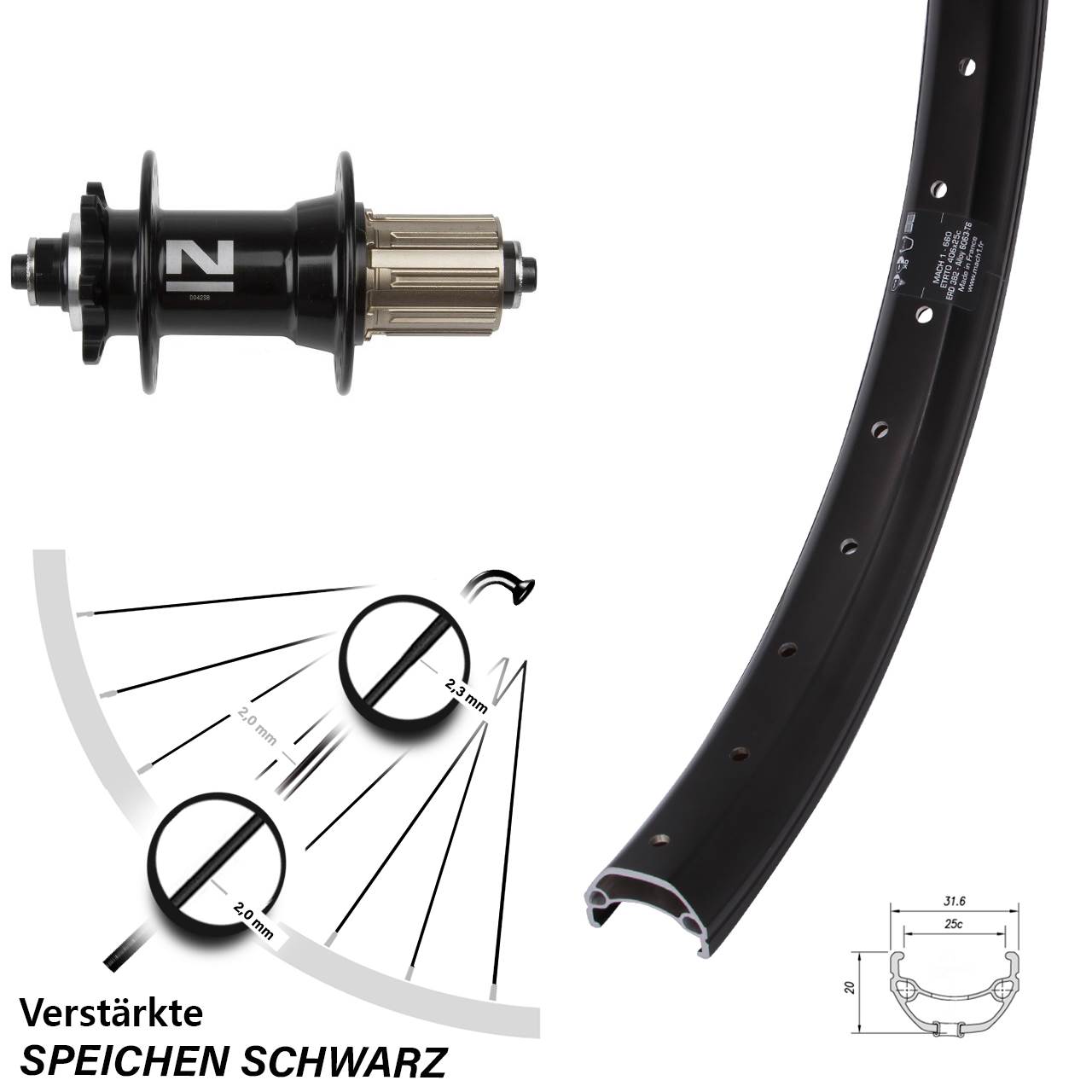 Hinterrad 6-Loch Disc 20 Zoll Mach1 Kargo Novatec D042 8-11 fach HG für Schnellspanner