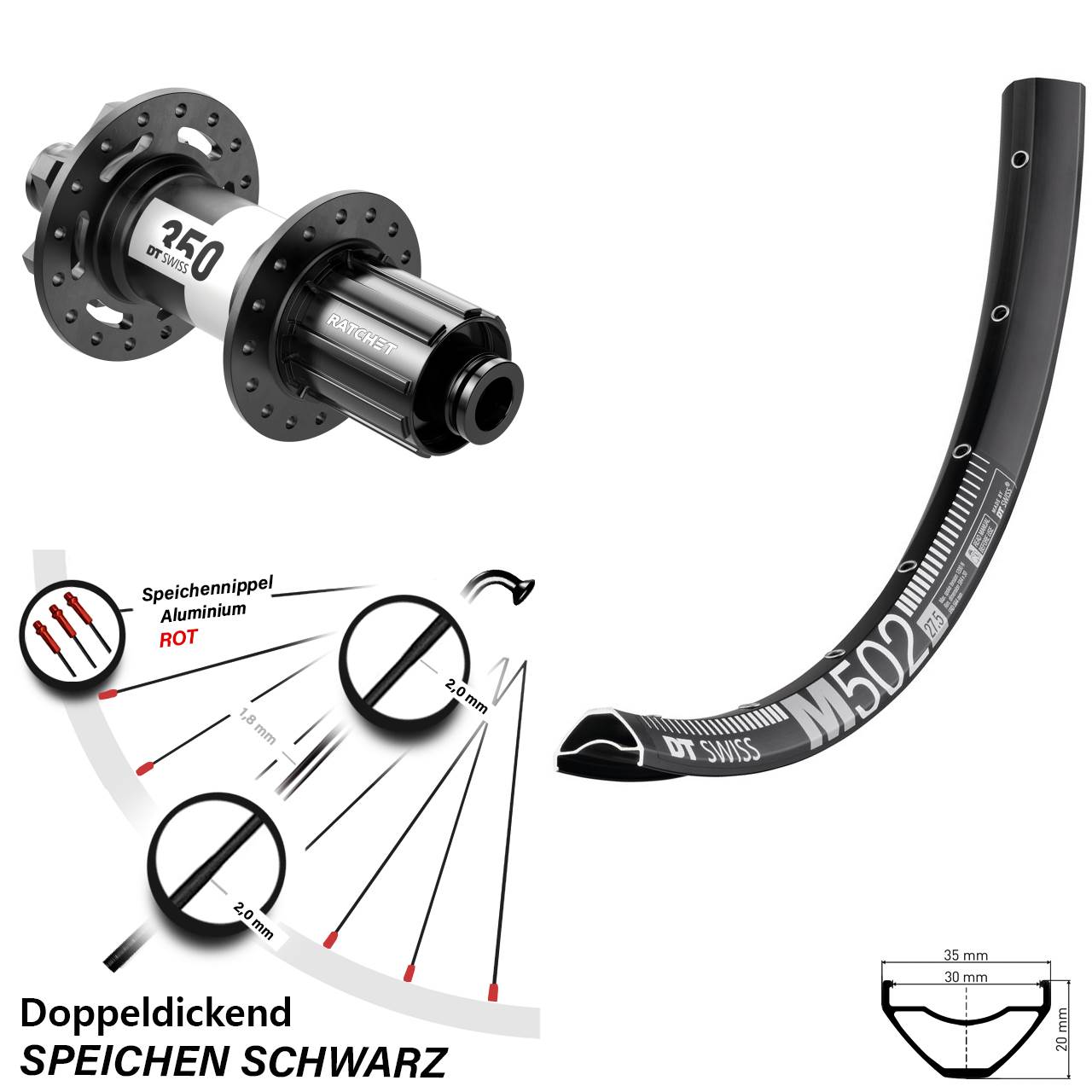 29 Zoll DT Swiss M 502 DT Swiss 350 6-Loch Hinterrad 12x157 8-11 fach