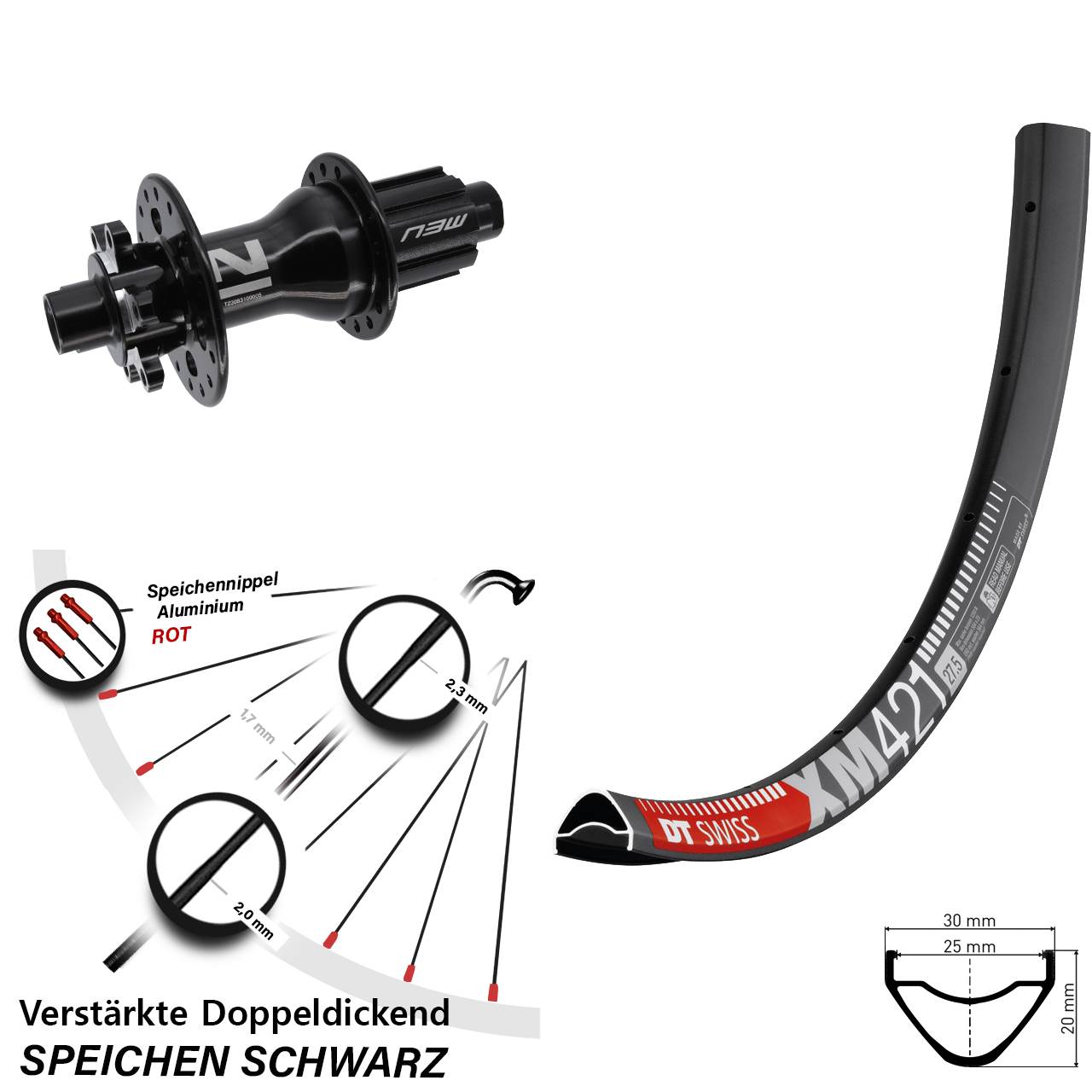 DT Swiss XM 421 Novatec D792 29 Zoll Hinterrad 6-Loch 12x142 Campagnolo N3W