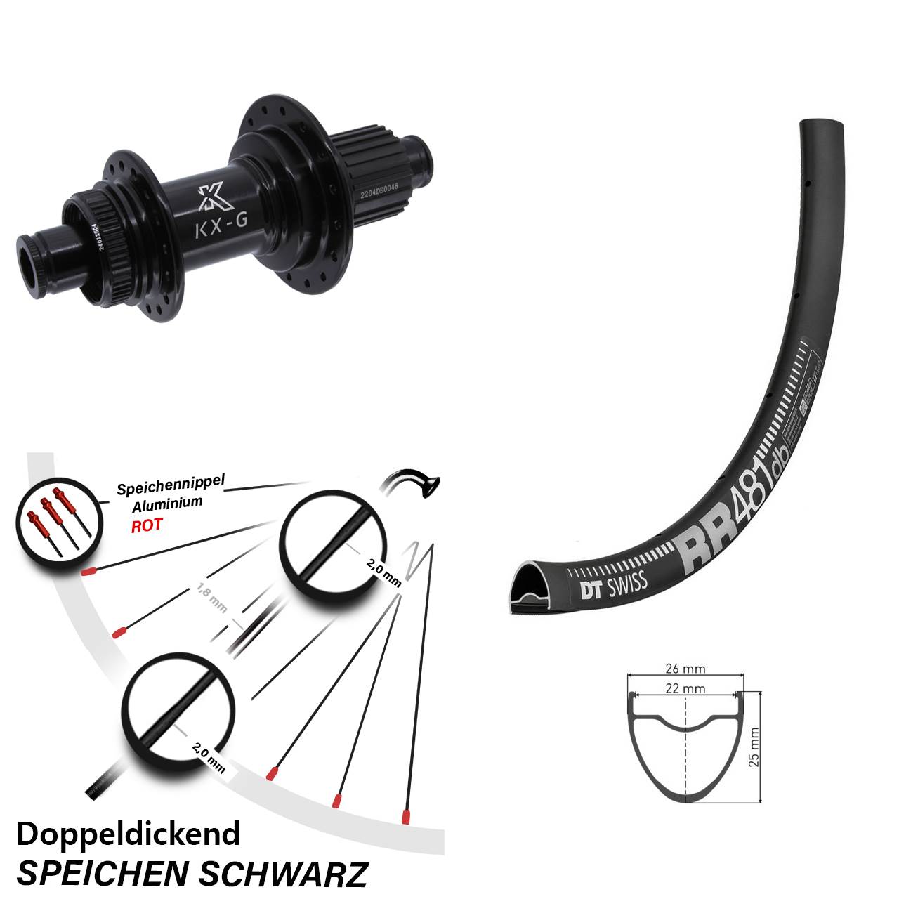 DT Swiss RR 481 28 Zoll Hinterrad KX-GS Micro Spline 12x142