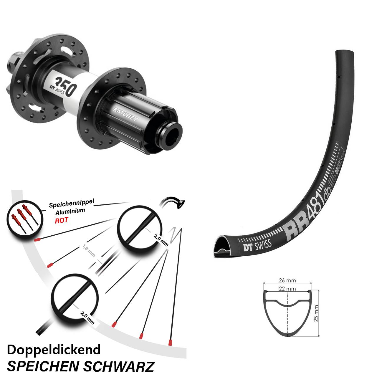 Hinterrad 6-Loch 28 Zoll DT Swiss RR 481-350 8-11 fach 12x142